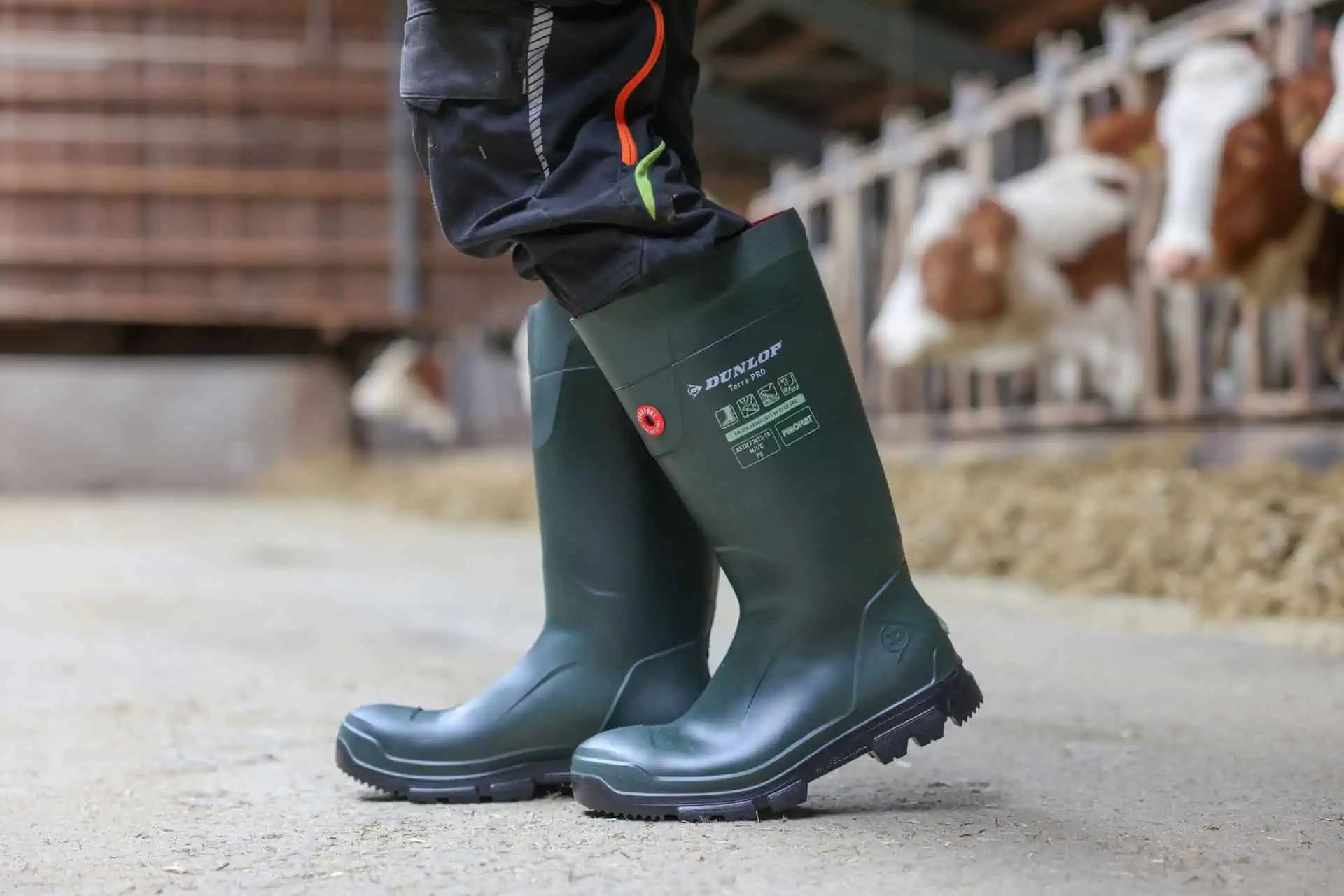 Dunlop Purofort TerraPRO S5 munkavédelmi csizma acél orrmerevítővel, használat közben, az istállóban
