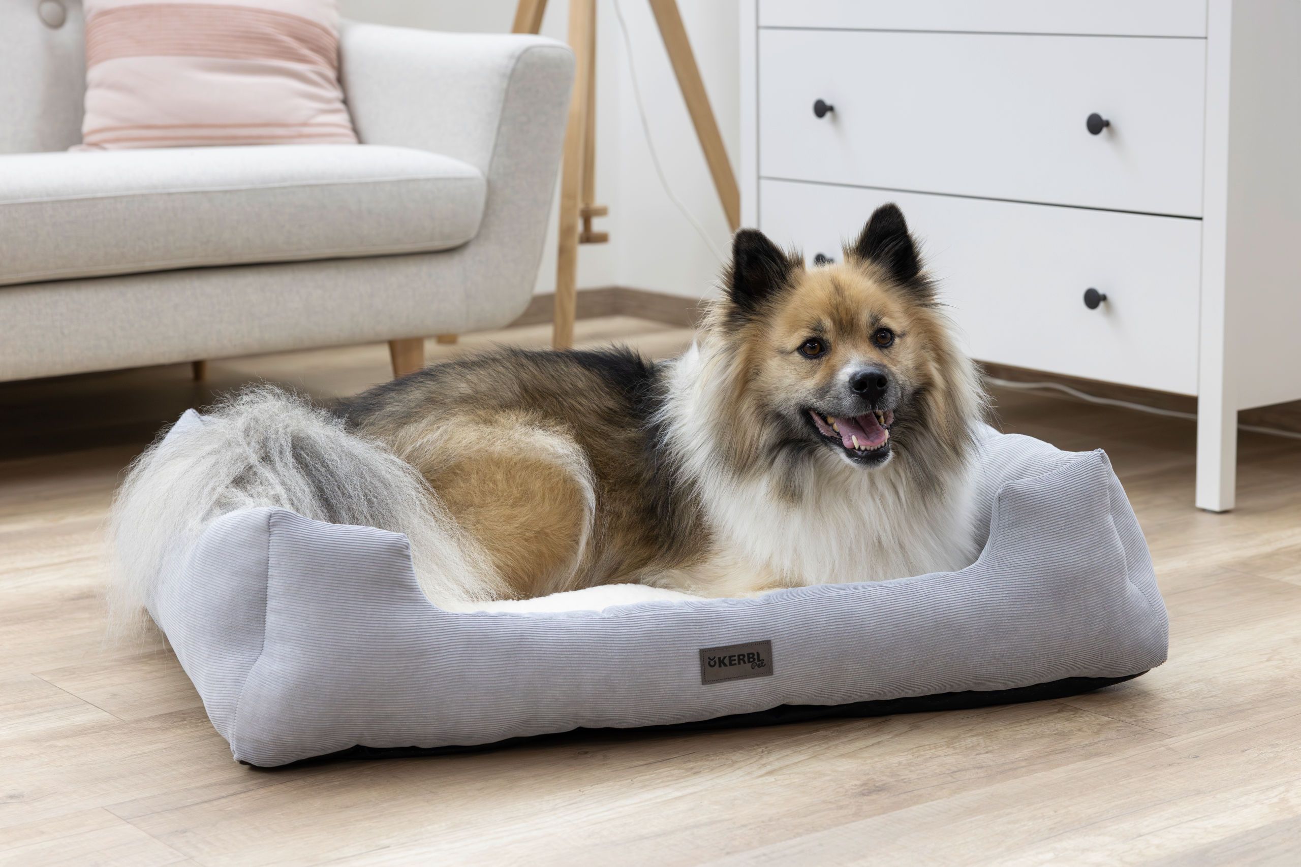 Kerbl Kuschelbett Zoe, Hundebett mit Rand, waschbar, grau-weiß, im Einsatz