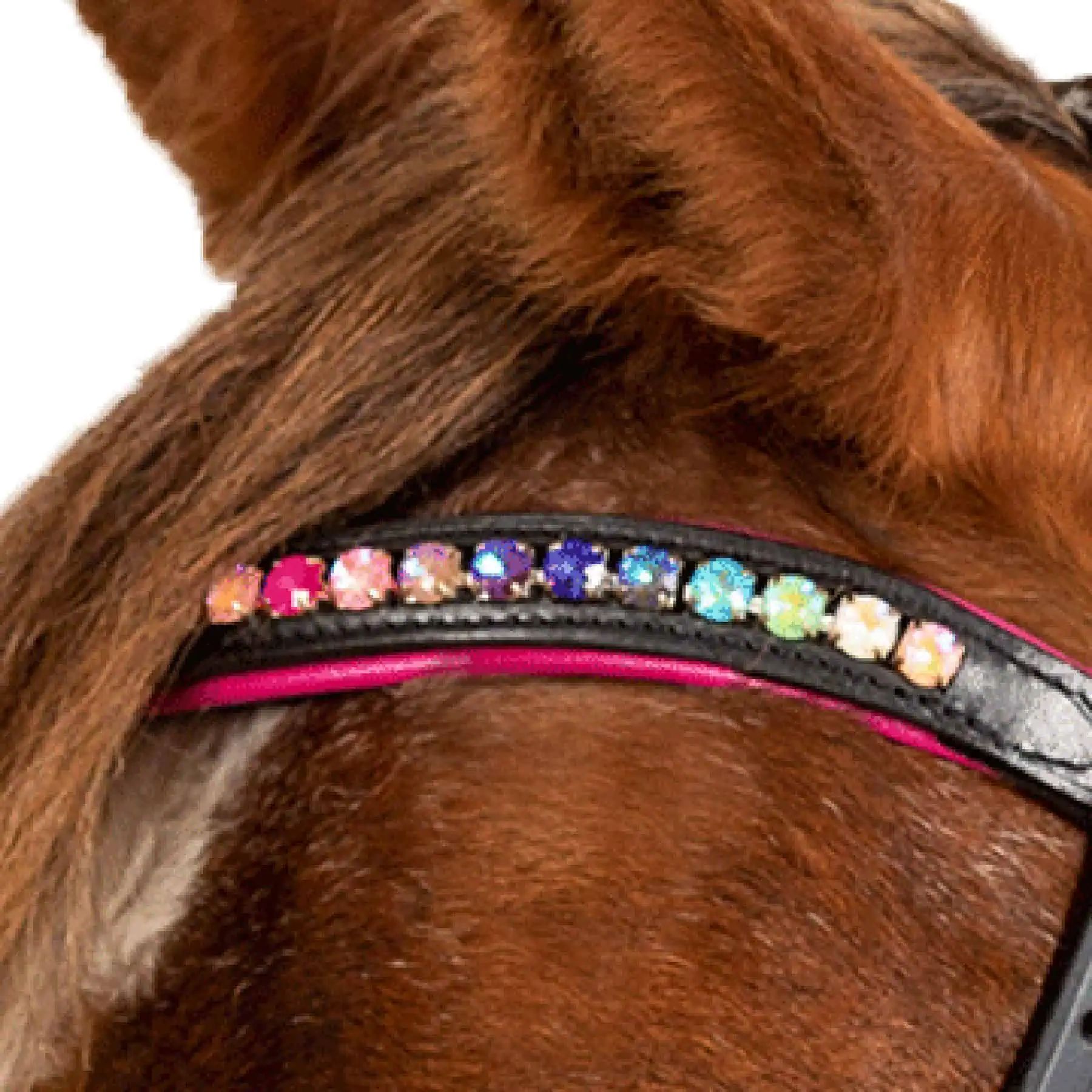 STAR Trensenzaum Pinky, Reithalfter für Pony & Shetty, Glitzersteine, Shetty
