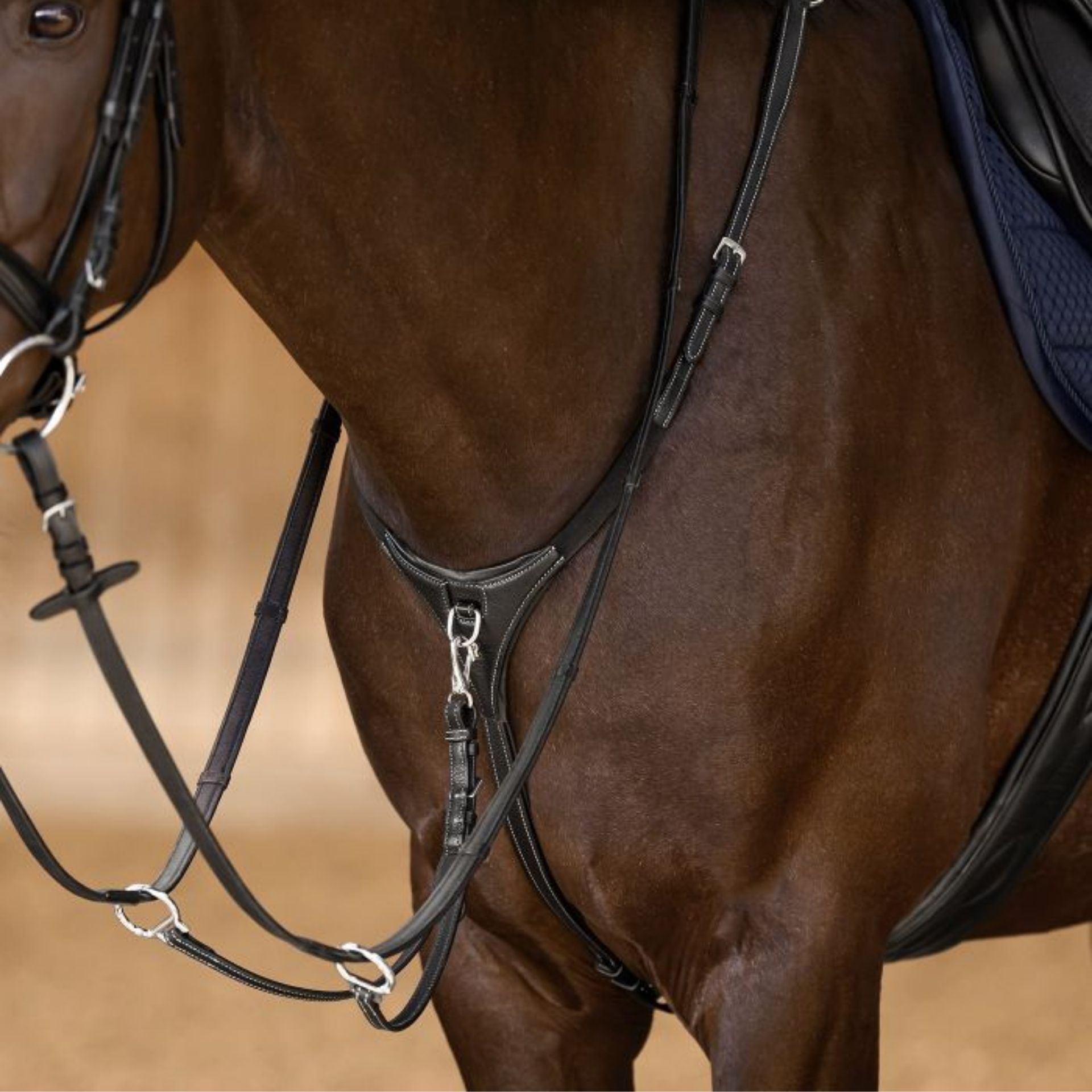 horse, saddle, bridle, bit, stirrups