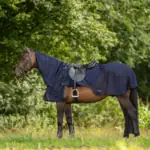 Pferd mit dunkler Weidedecke und Halsteil steht auf einer Wiese vor Baeumen