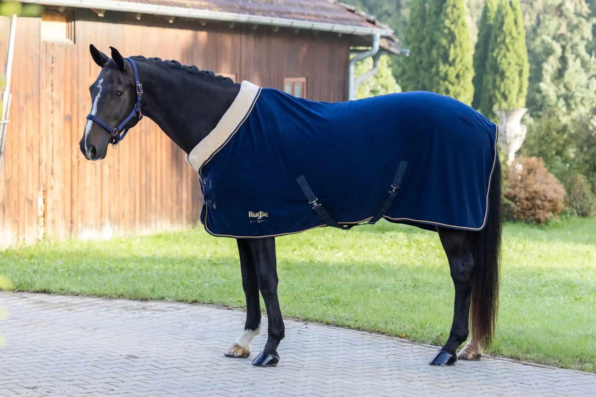 Covalliero Coperta in Pile RugBe Royal, Copertina Antisudore con Collo Teddy, in uso