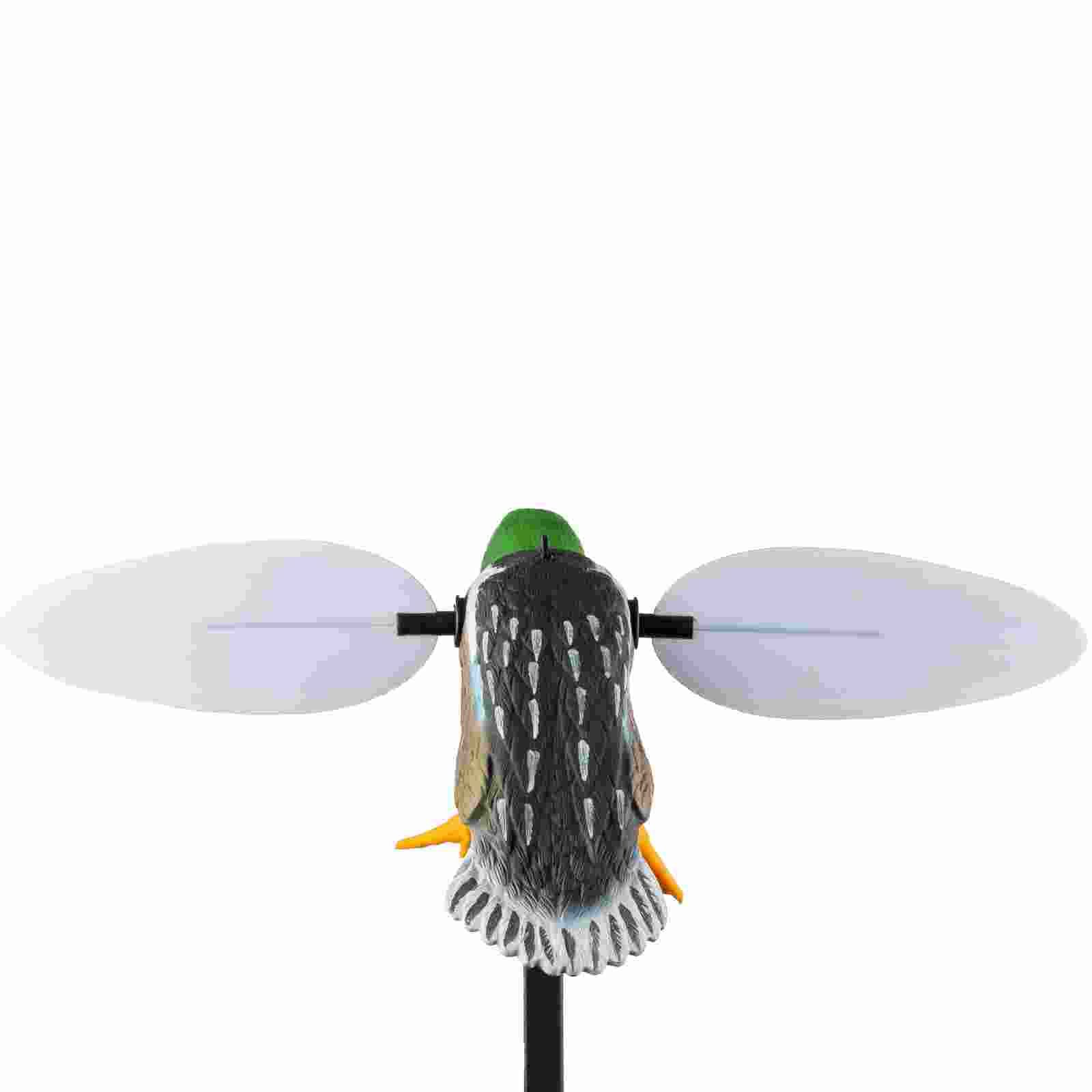 Mojo ES Spoonzilla, vue arrière