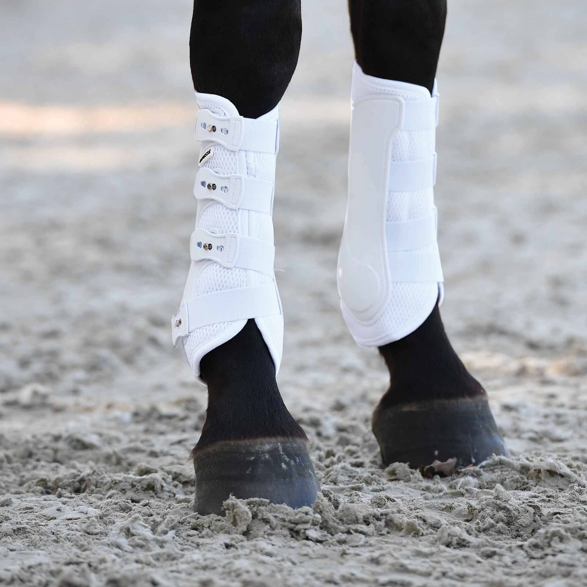 BUSSE Tendon Boots DRESSAGE-PRO-MESH, Hard Shell with 3D AIR DRY, in use, leg