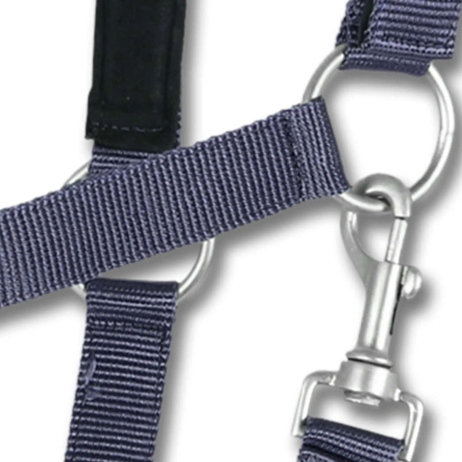 Licol Satin Waldhausen en Perlon, doublé doux et réglable, FULL, bleu