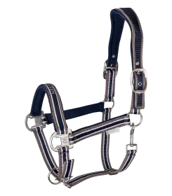 Halfter mit gestreiftem Nasenriemen in dunklen Toenen und gepolstertem Genickstueck, freigestellt