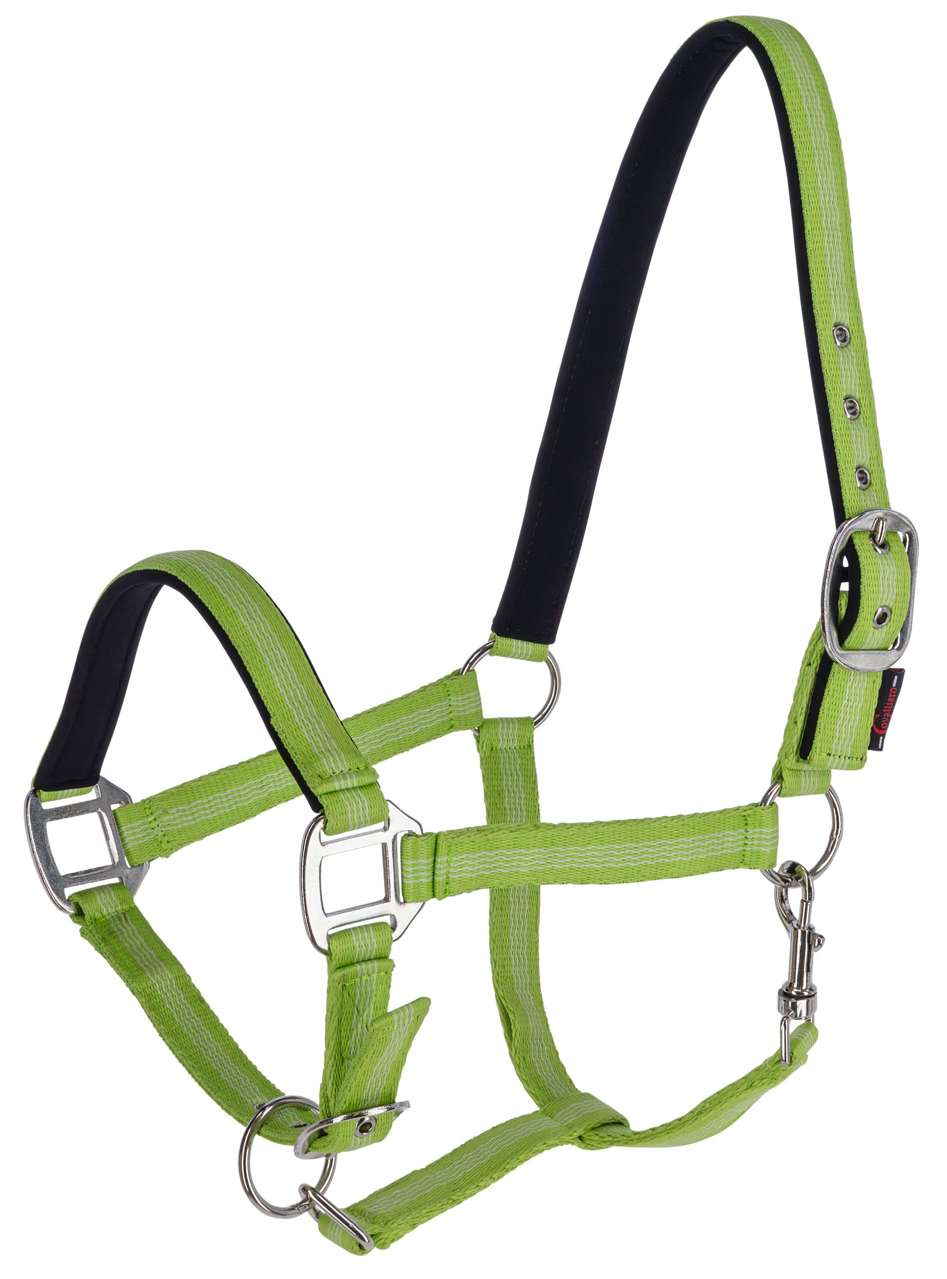 horse halter, horticulture, green, metal hardware, adjustable