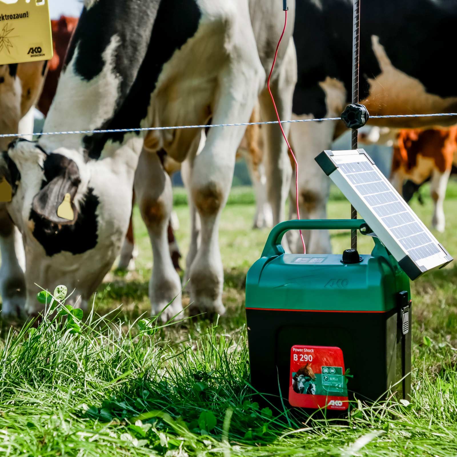 AKO Power Shock B 290 villanypásztor készülék 9V, 0,45 Joule, használat közben, a legelőn