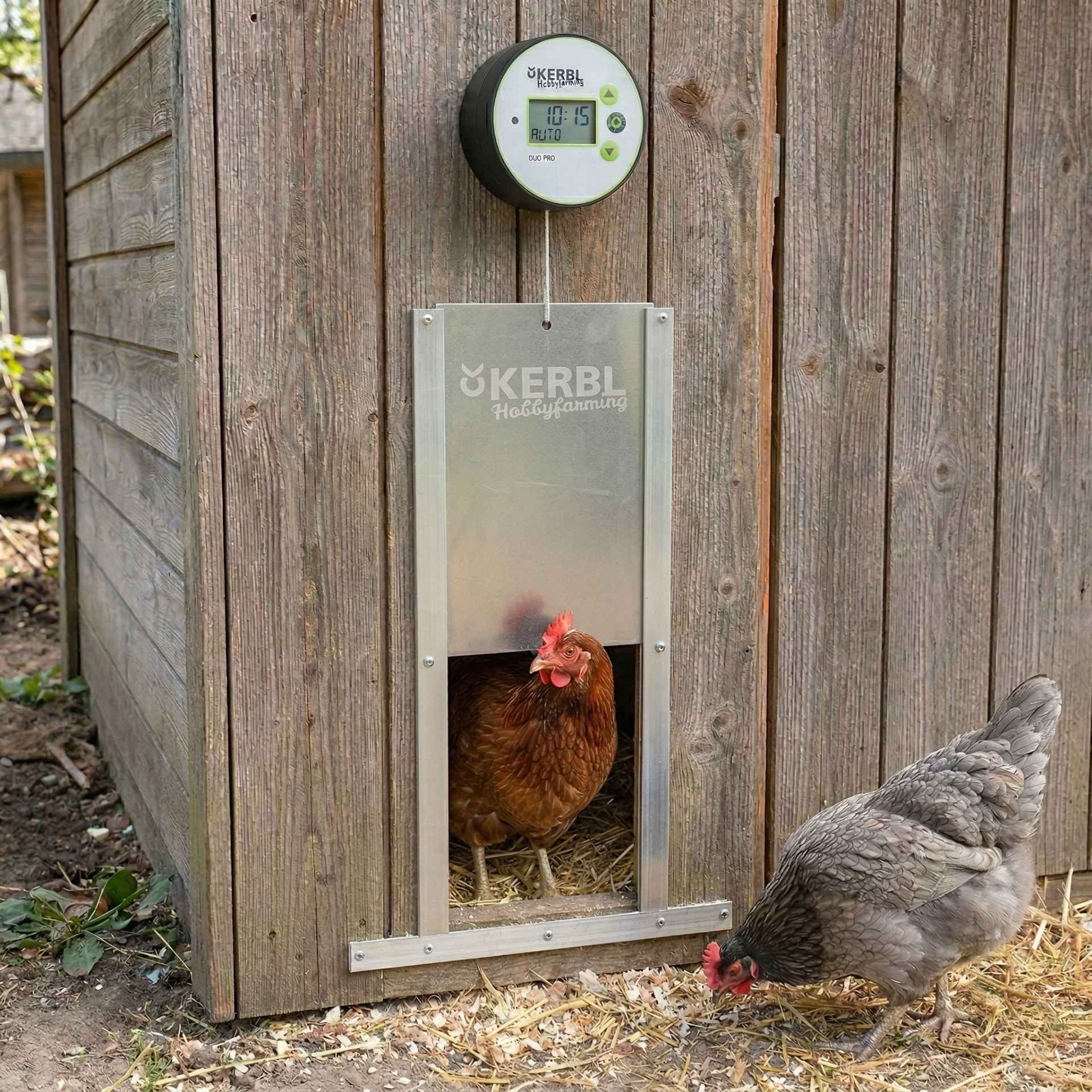 chicken coop, hen house, hen, metal door, digital timer