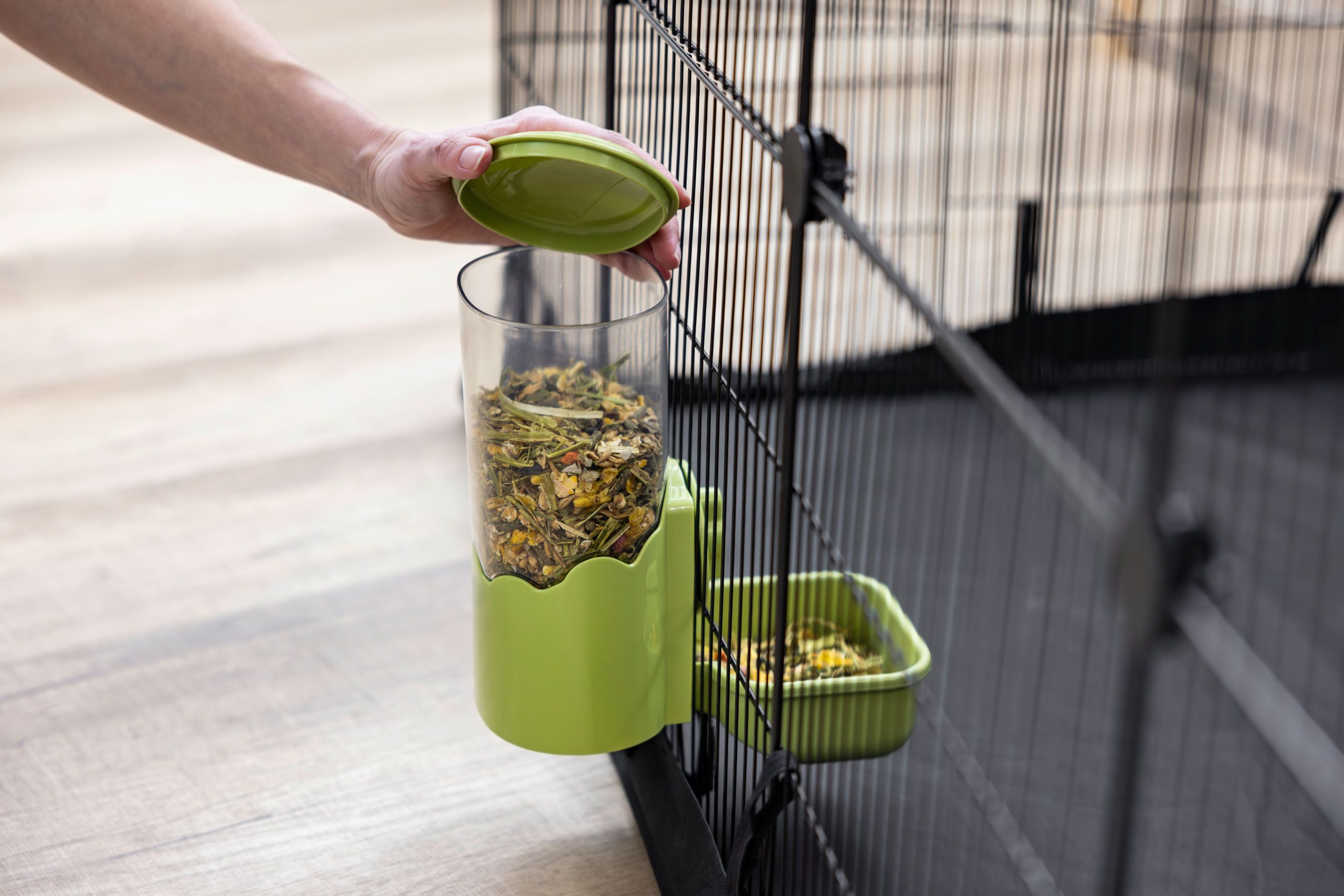 pet feeder, cage accessories, dry food, green, lid