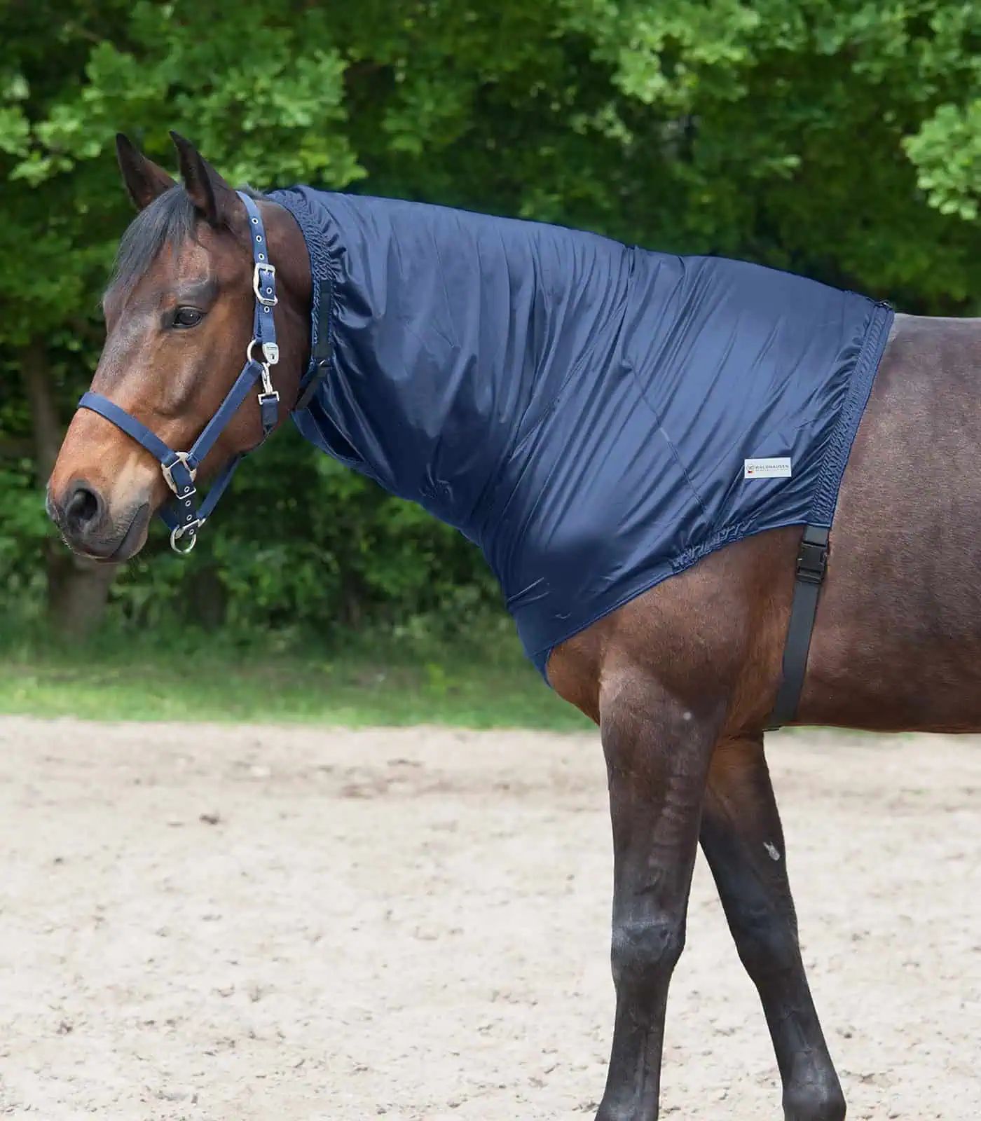 Eczema Neck Part night blue COB