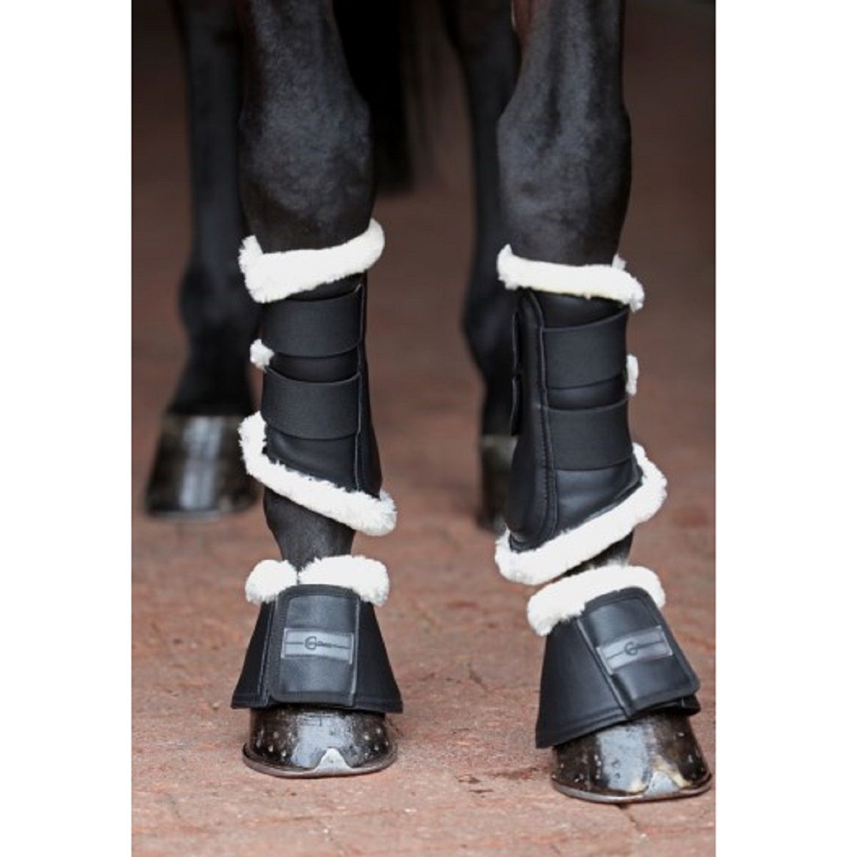 Cloches pour chevaux Covalliero Pelisa noir, absorbantes, cuir synthétique, Cob