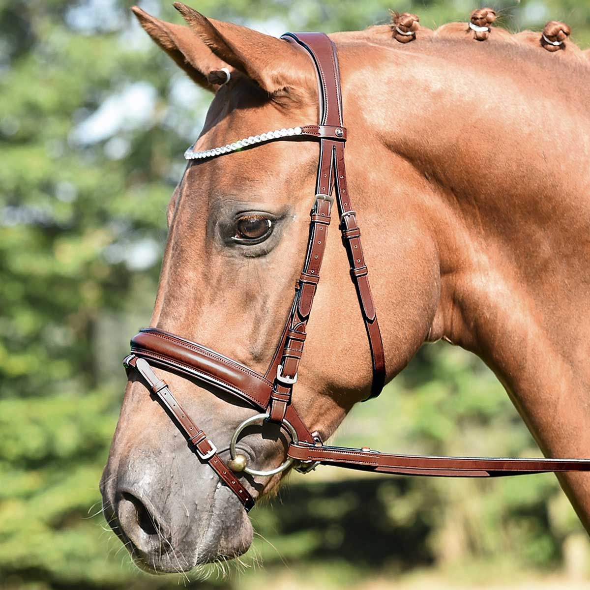 BUSSE Bridon de filet matera