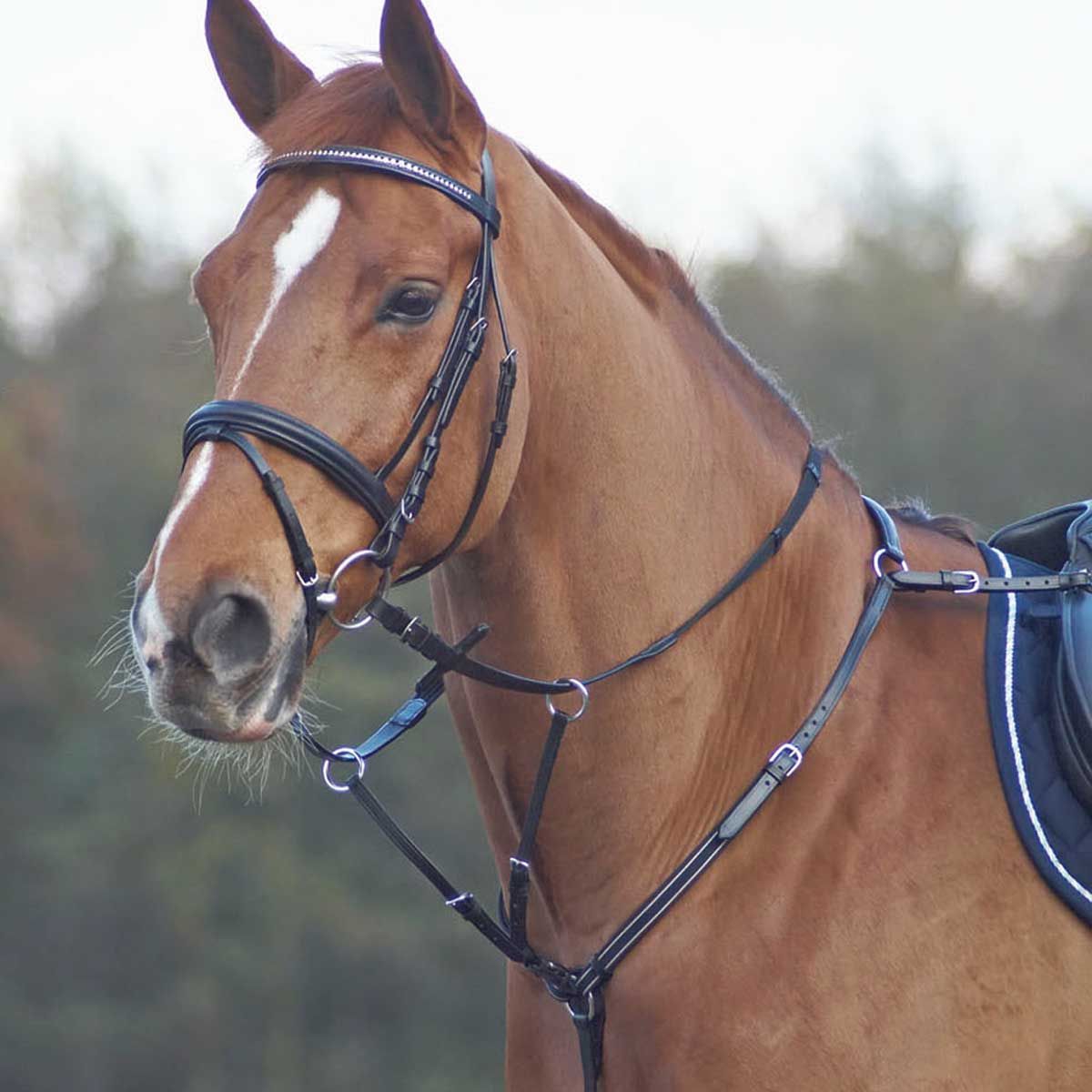 BUSSE Plaque de poitrine de base