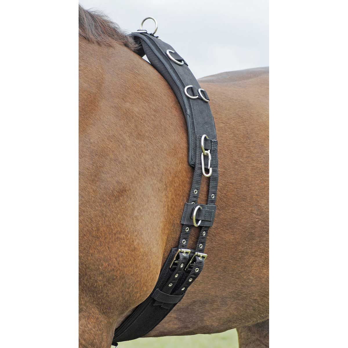 BUSSE Longiergurt PROFI-SOFT, Widerristkissen, 11 Ringe, Pony