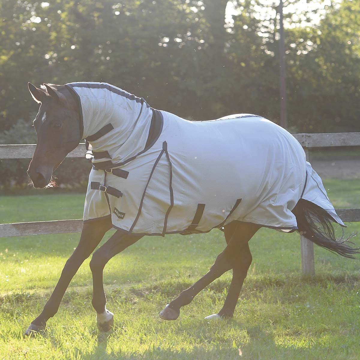 BUSSE Coperta antimosche COMFORT paddock, argento, navy, in uso