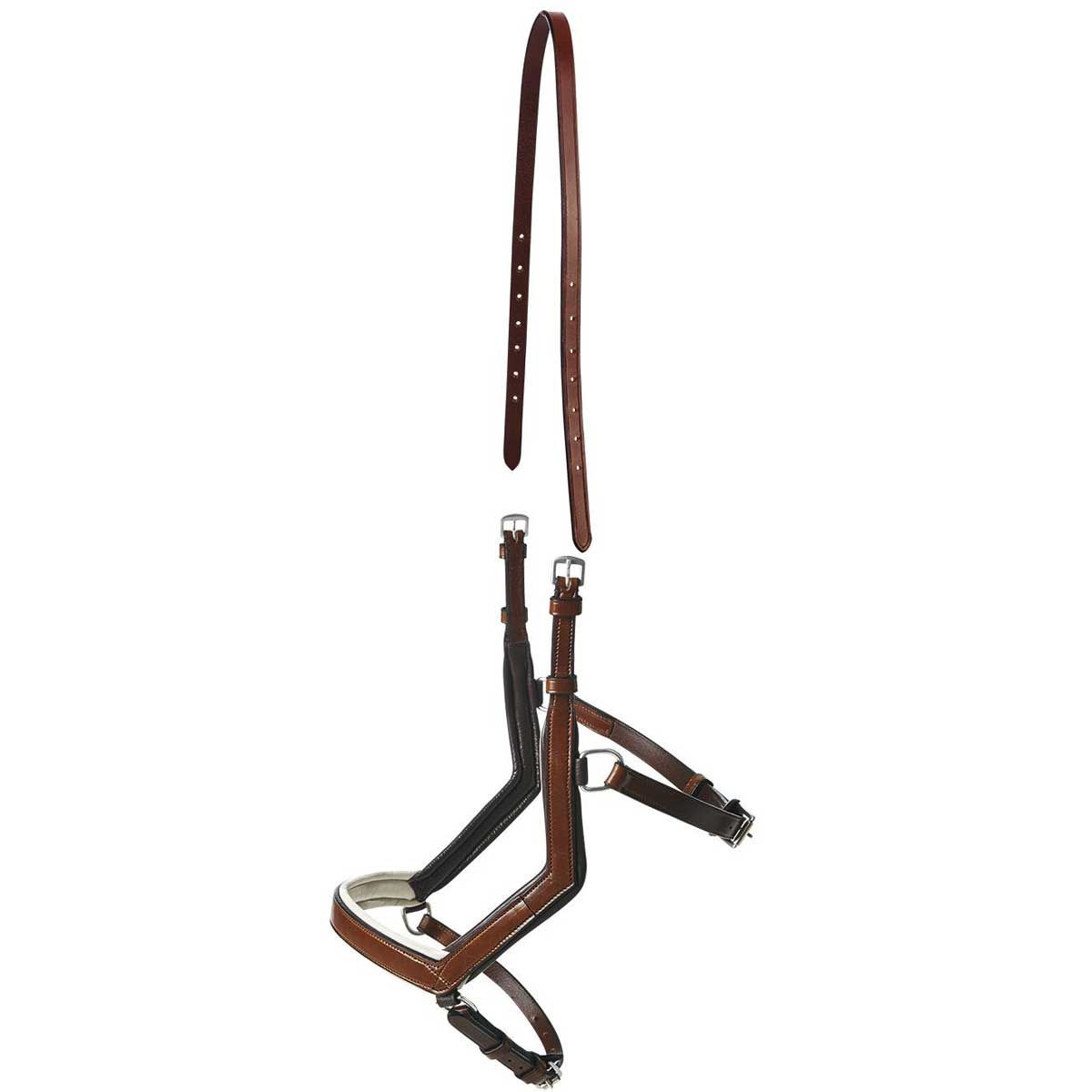 BUSSE Reithalfter MODENA
