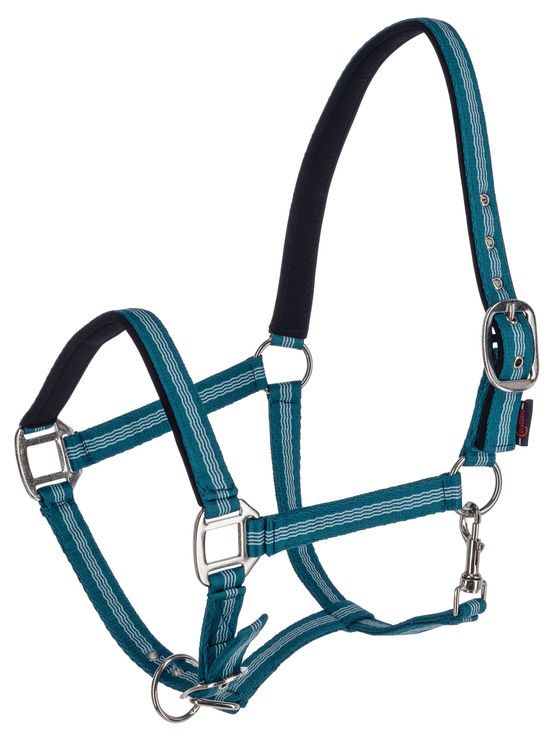 halter, horse, bridle, stripes, teal