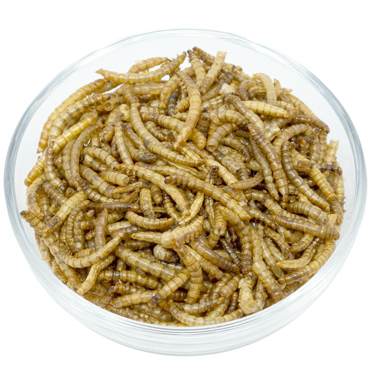 Glass bowl filled with dried mealworms