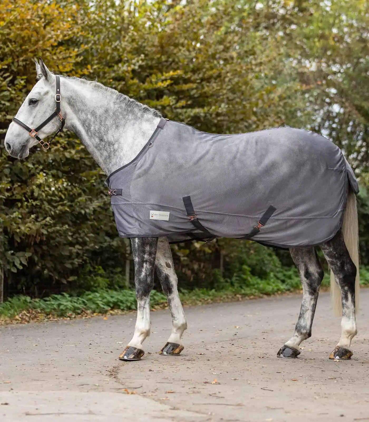 Waldhausen COMFORT Couverture anti-mouches à sangles croisées, mesh respirant, Gris 145 cm