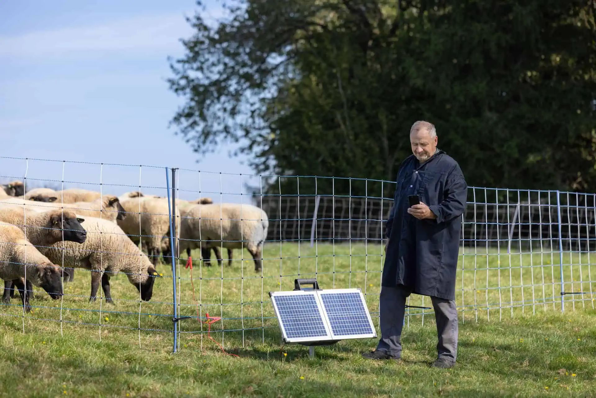AKO SunPower S2400 Smart 12V napelemes villanypásztor készülék, 3,2 Joule, használat közben, a legelőn