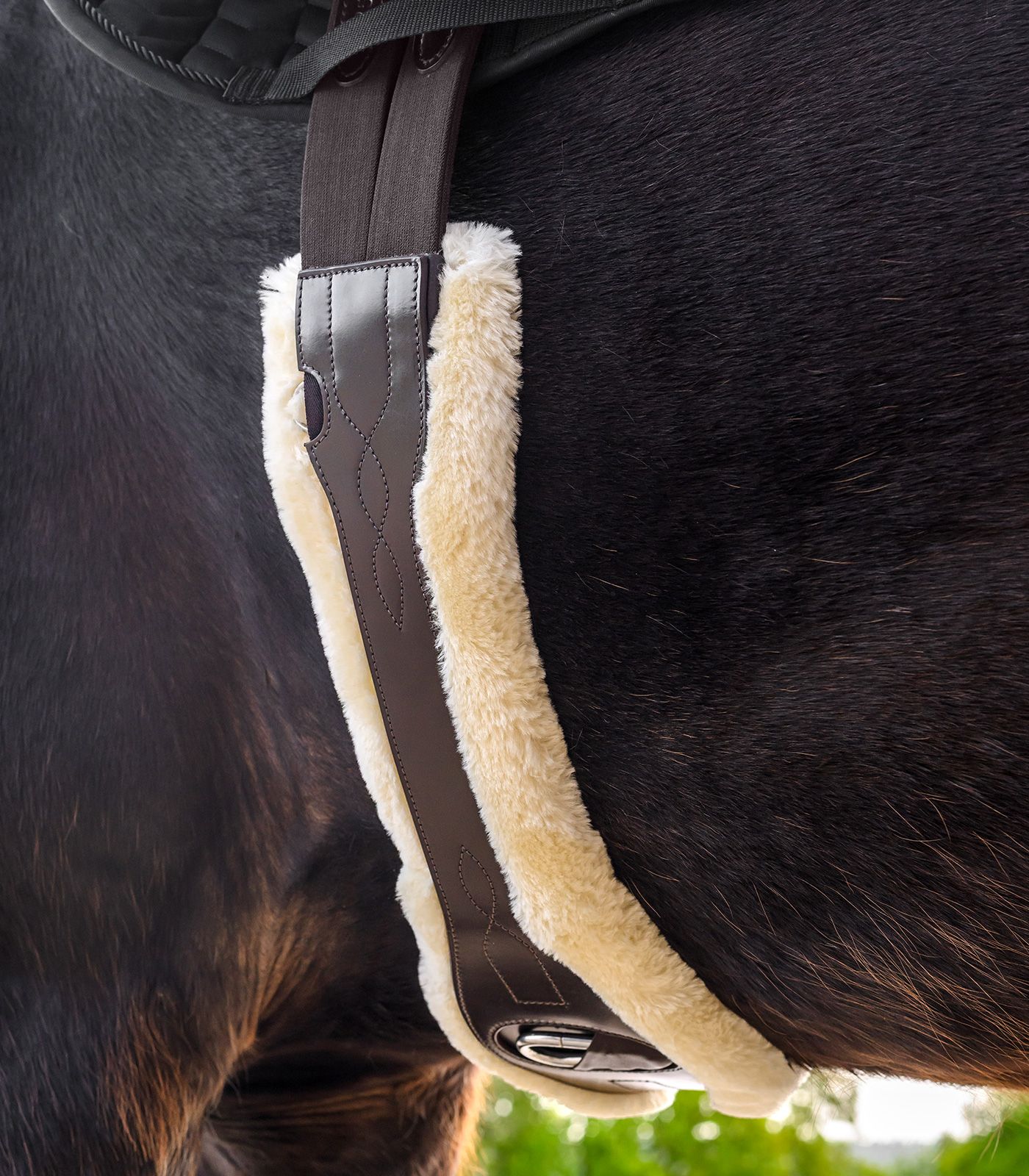 Pferd, Sattel, Zügel, flauschig, Gurtband