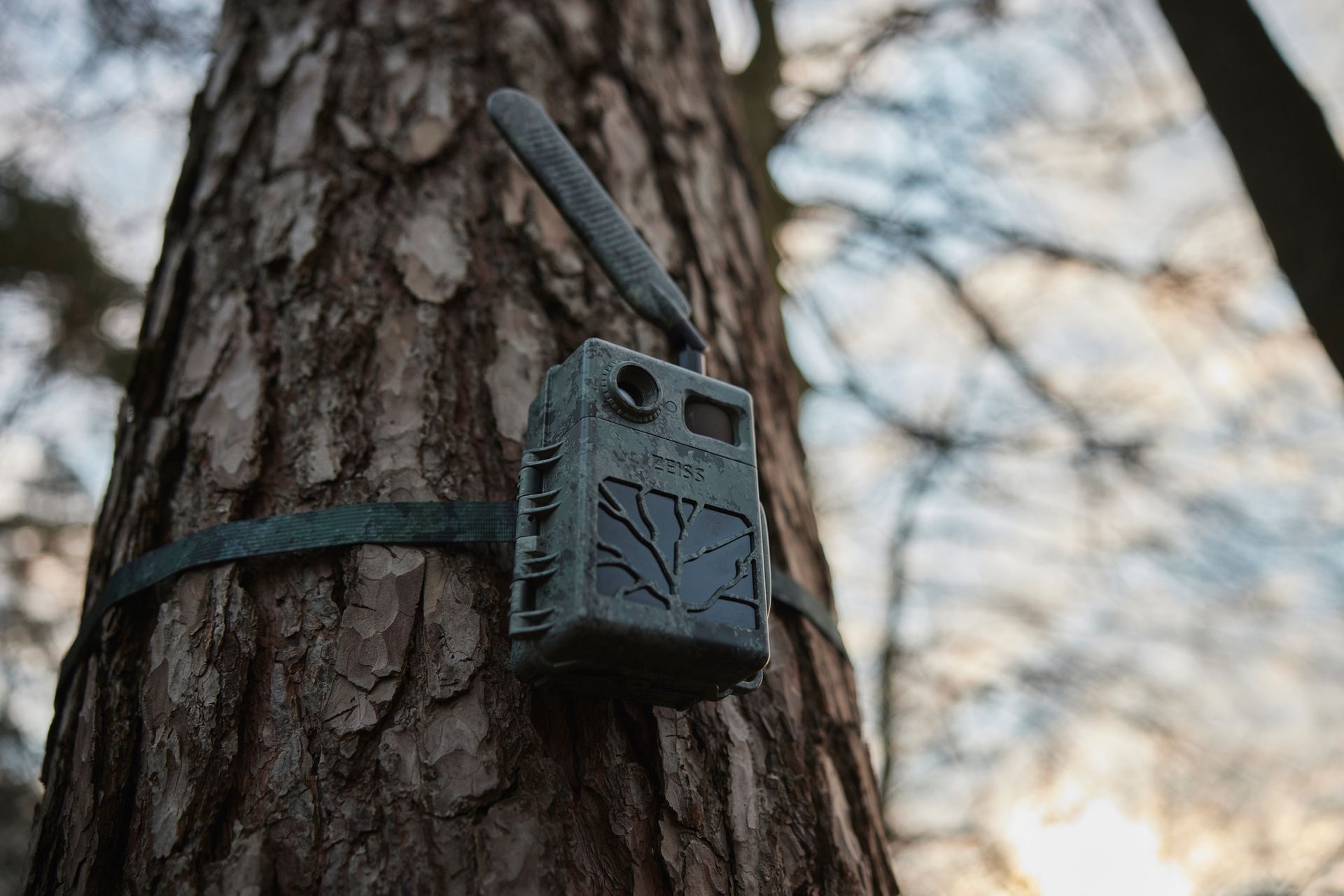 Caméra de chasse camouflage avec antenne, fixée au tronc par une sangle verte