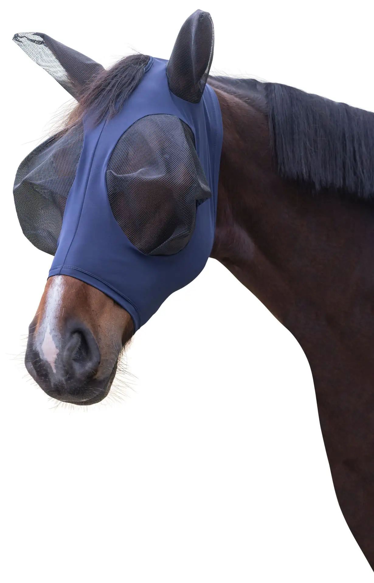 Masca Covalliero FinoStretch antimuscă cu protecție UV, negru/albastru, Pony