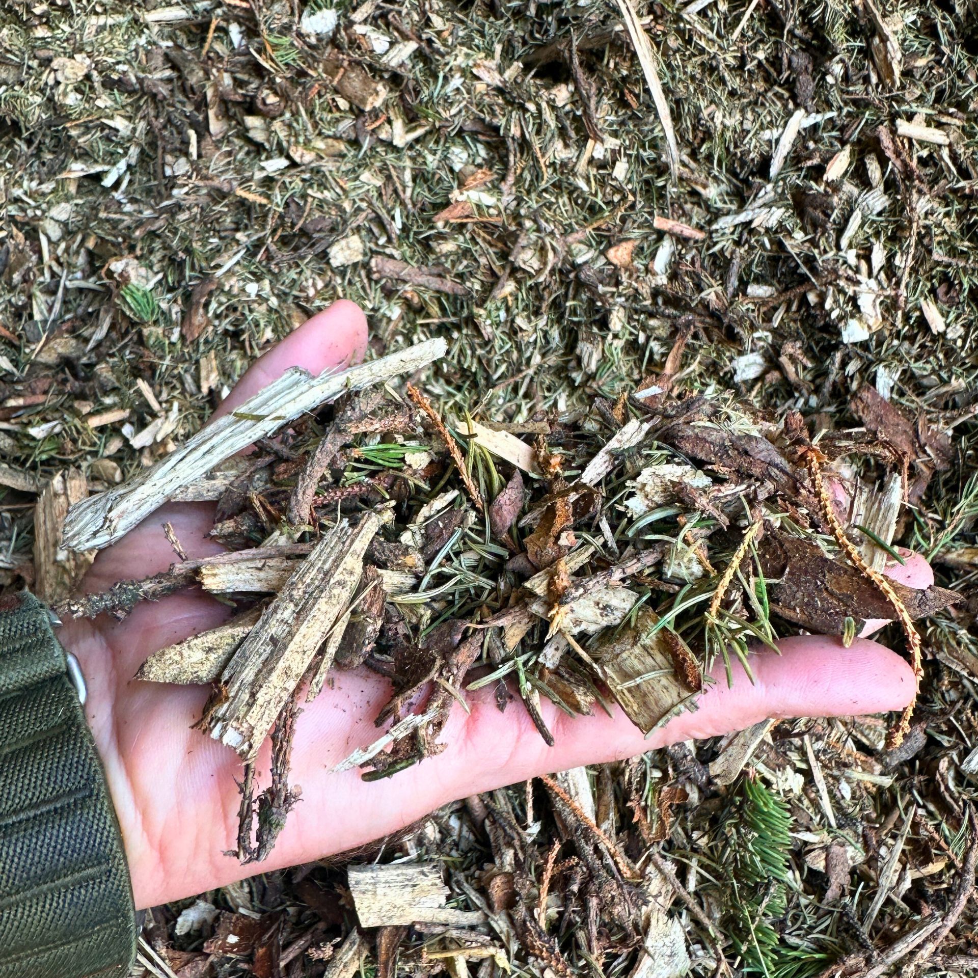 Hand holds a pile of wood chips and bark pieces over a layer of bark mulch