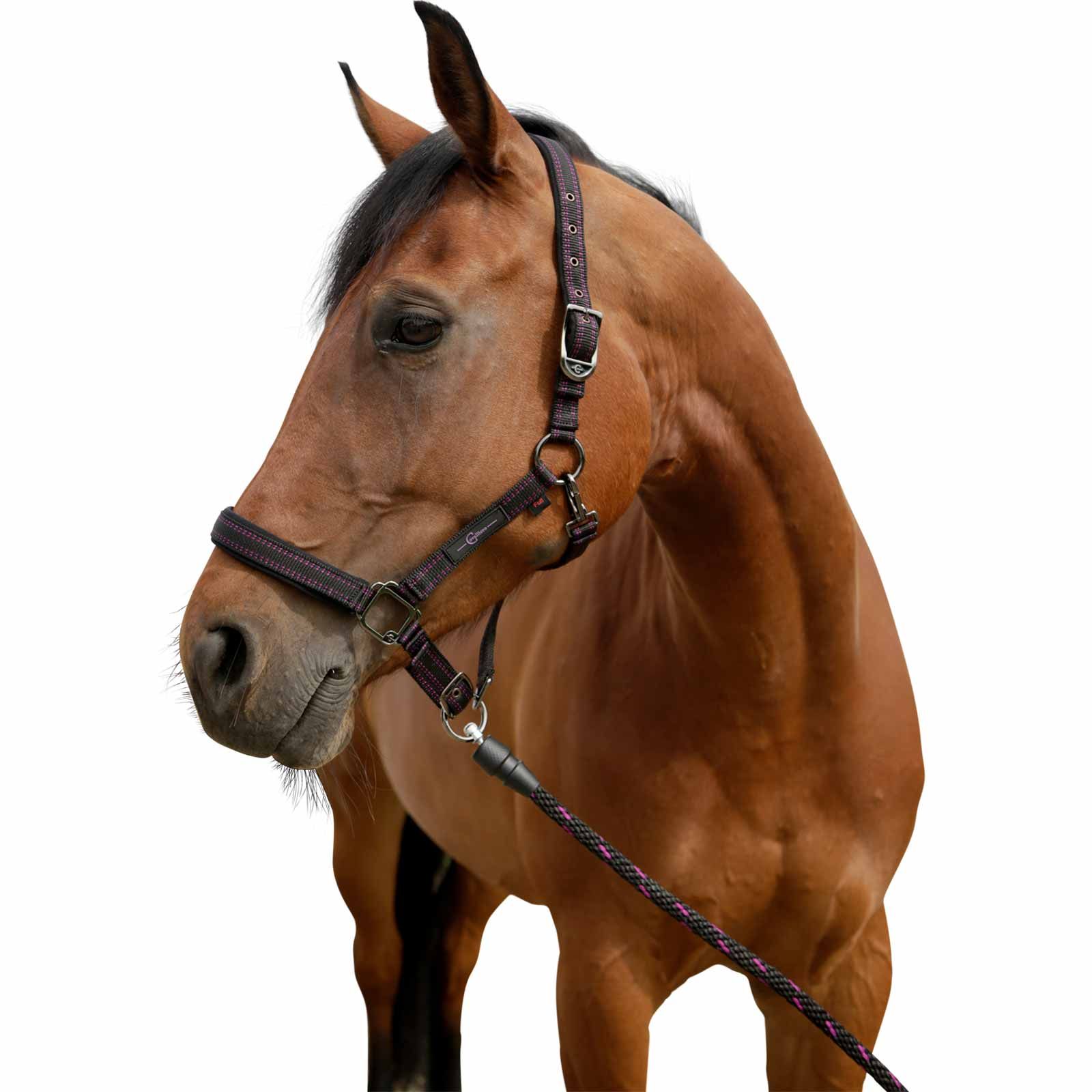 GoLeyGo 2.0 licou de cheval noir/fuchsia COB