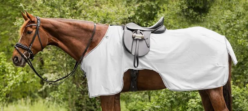 Couverture d'équitation