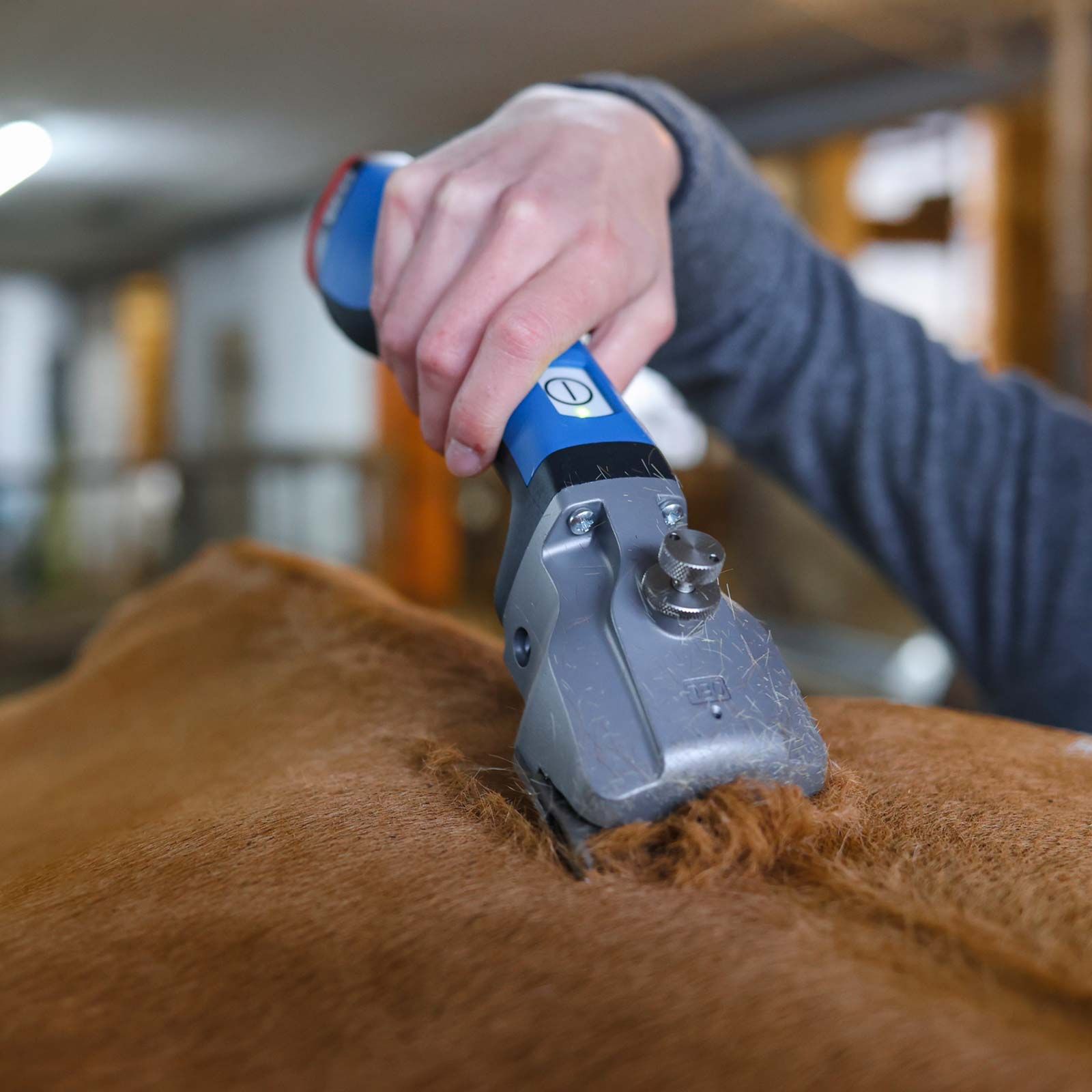 Aesculap Bonum szarvasmarha nyírógép, akkumulátorral és késsel, 2x akkumulátoros