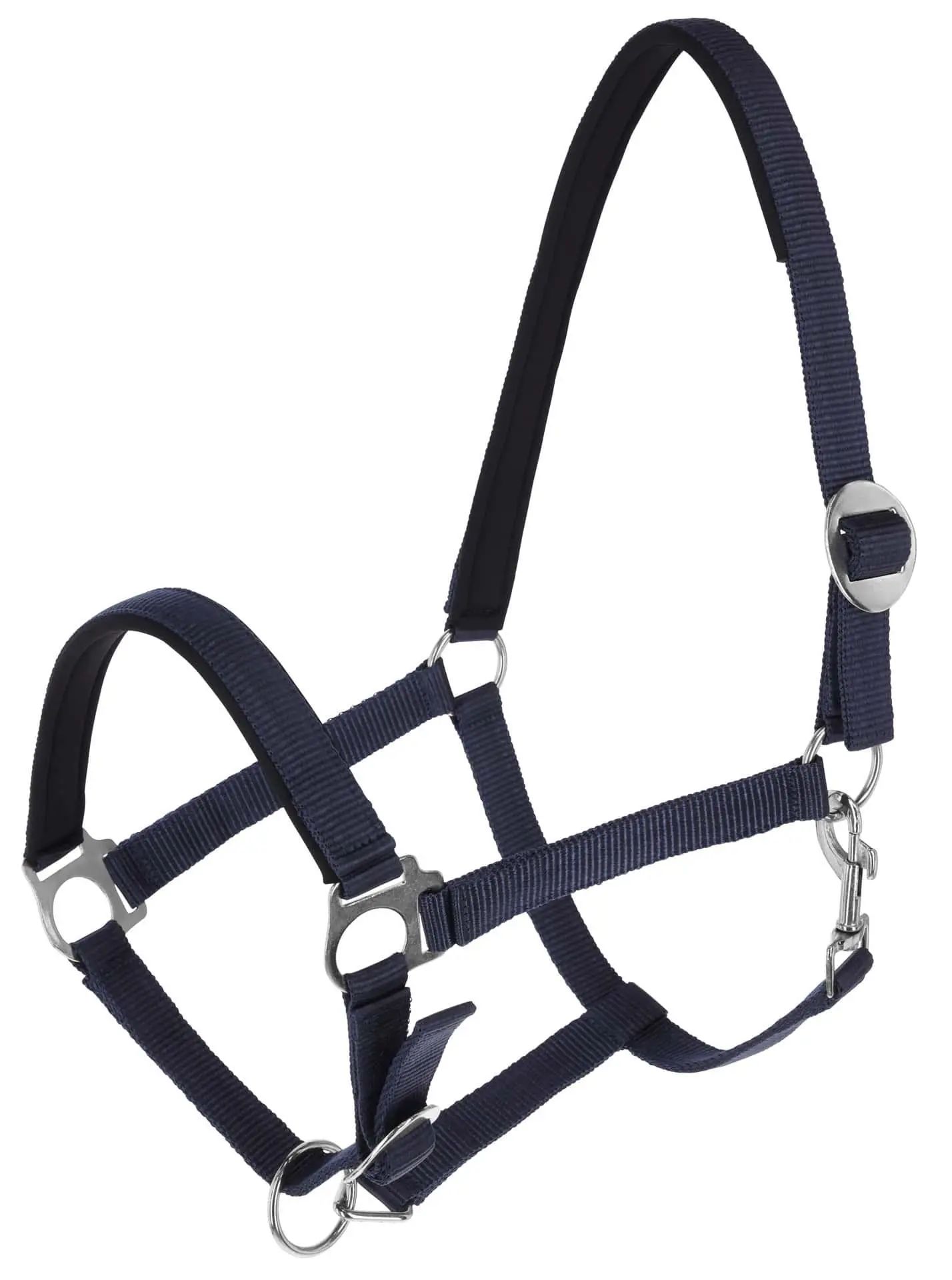 Covalliero Halfter Doria, gepolstert & stufenlos verstellbar, Cob