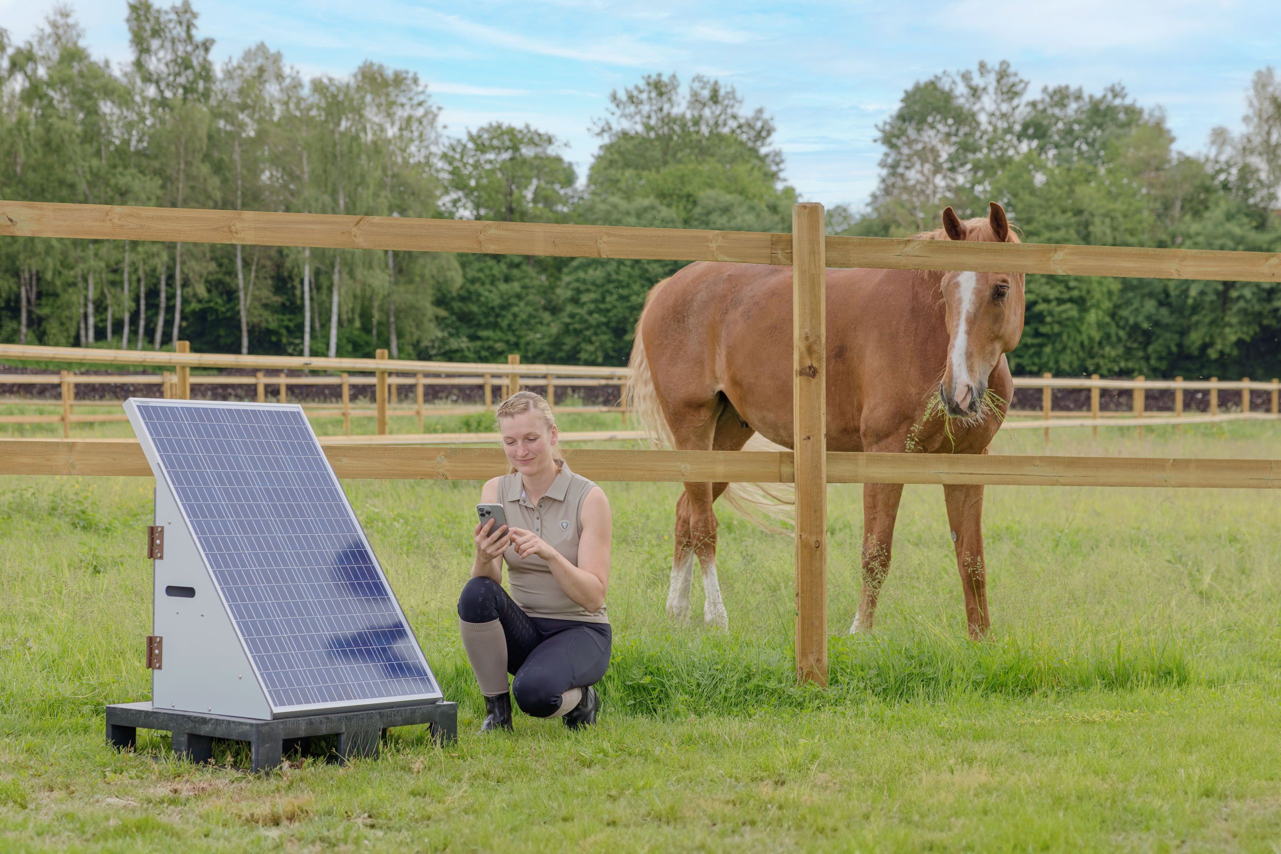 solar panel, outdoor scene, horse, fence, person with device