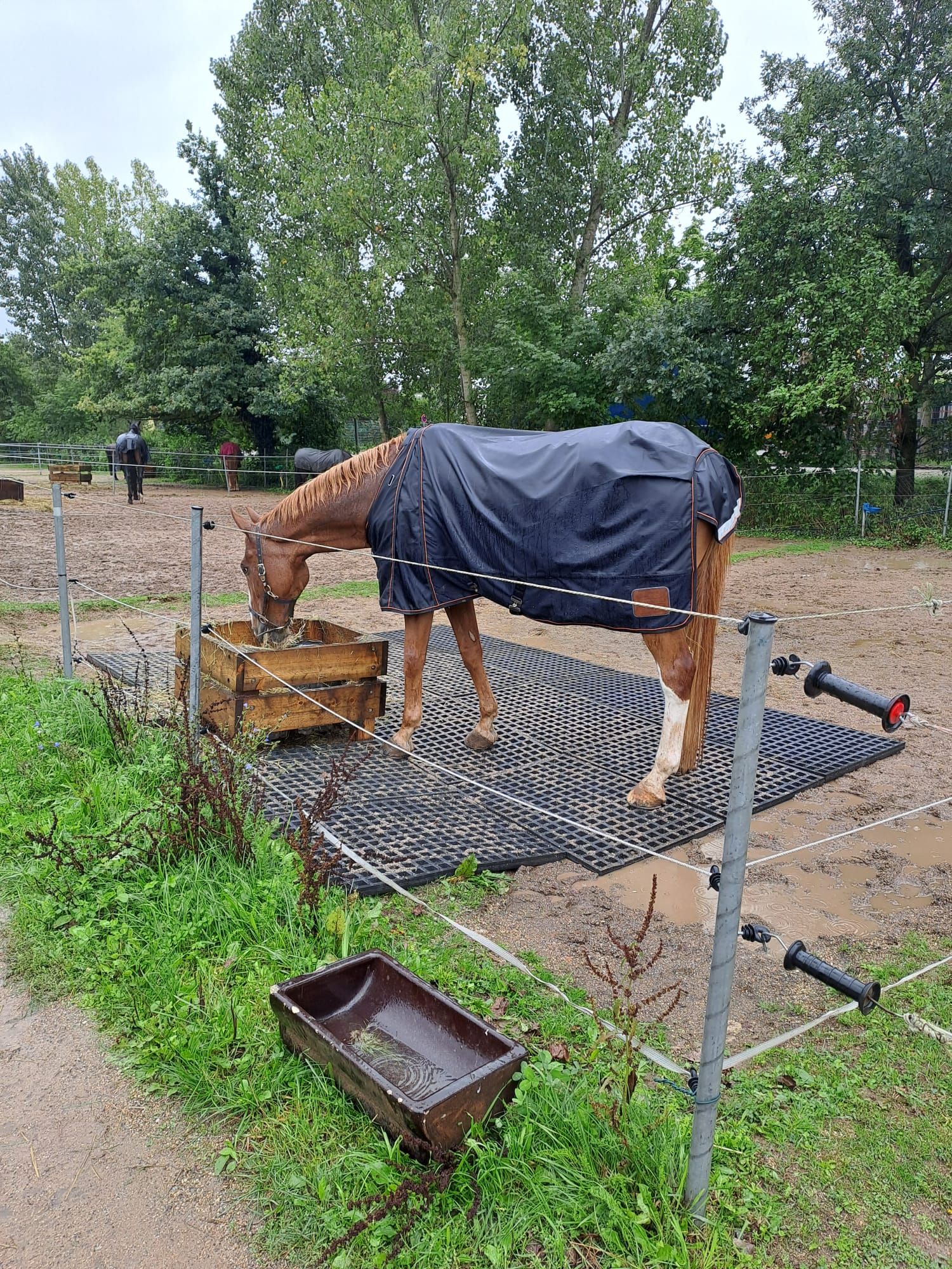 Paddockmatta, universalmatta 112 x 79 x 4 cm, i användning, på hagen