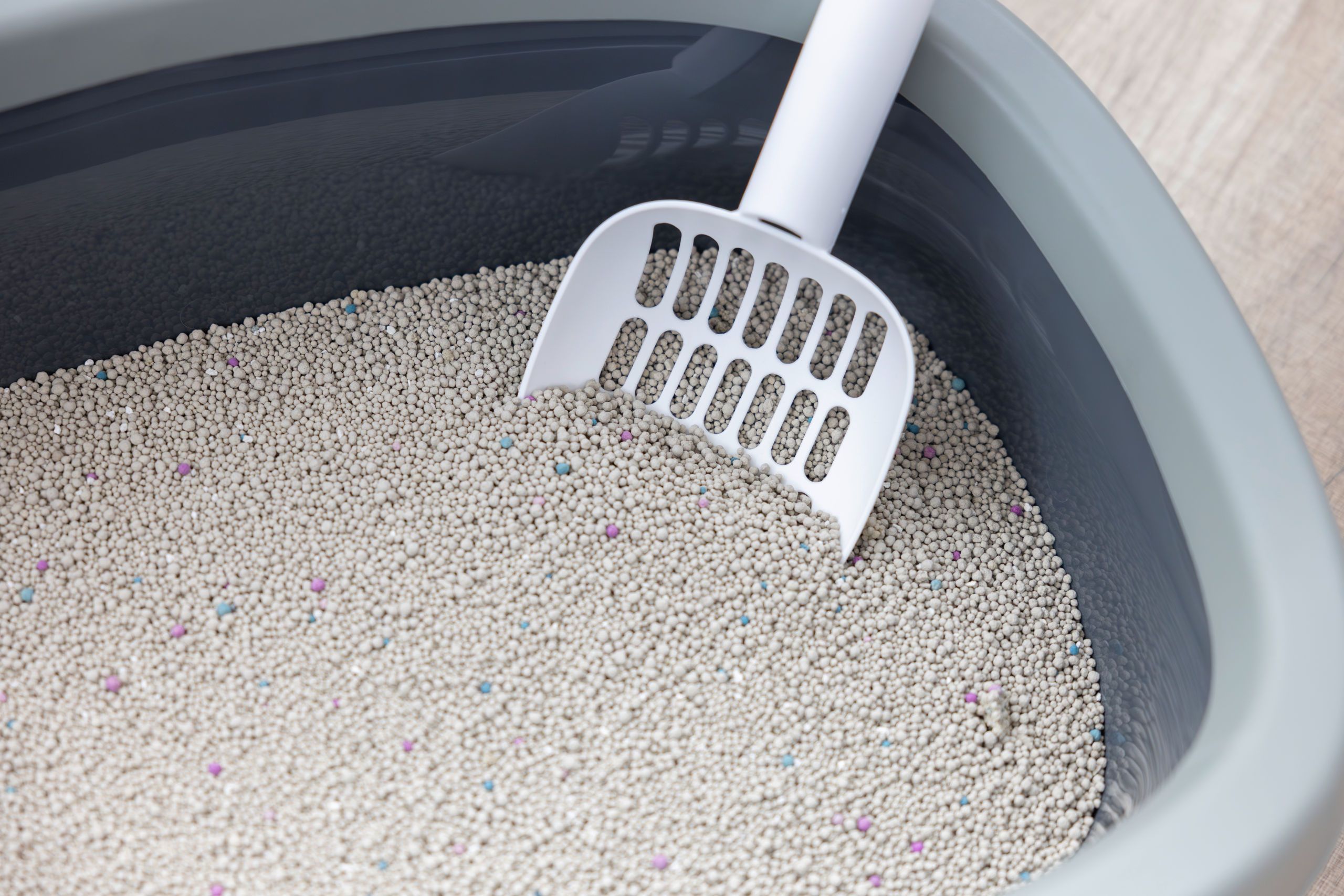 Kerbl Katzenstreu Bentonit 6 l, klumpend und staubarm