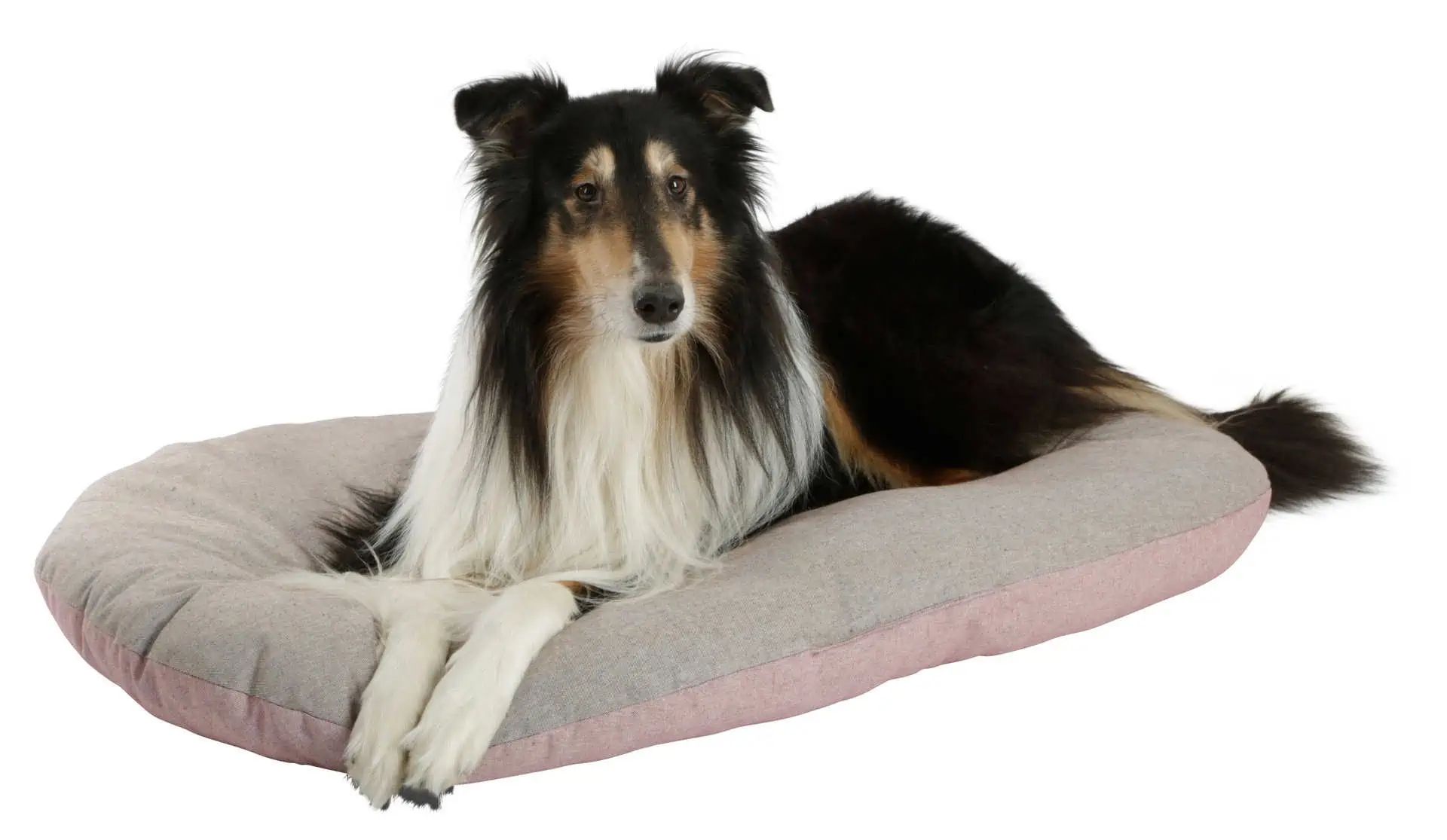 Coussin de couchage Golden Kerbl, réversible, aspect sel-poivre, en utilisation