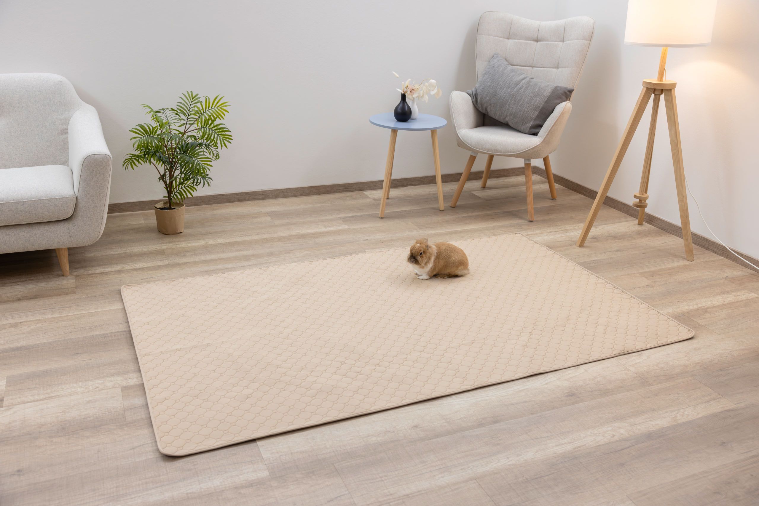 Tapis d'urine lavable Kerbl Pet, absorbant et antidérapant, en utilisation, en intérieur