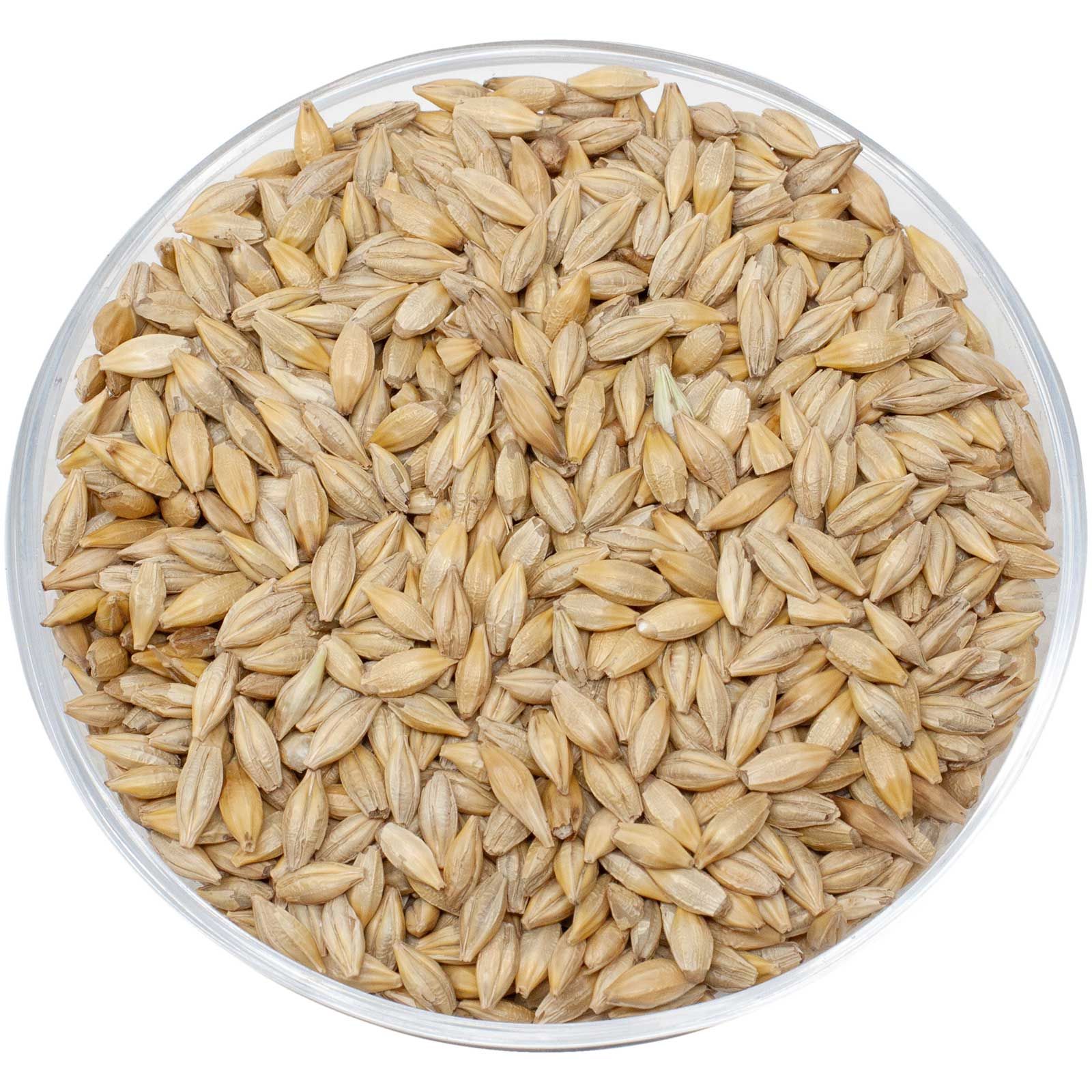 Leimüller Orzo in semi