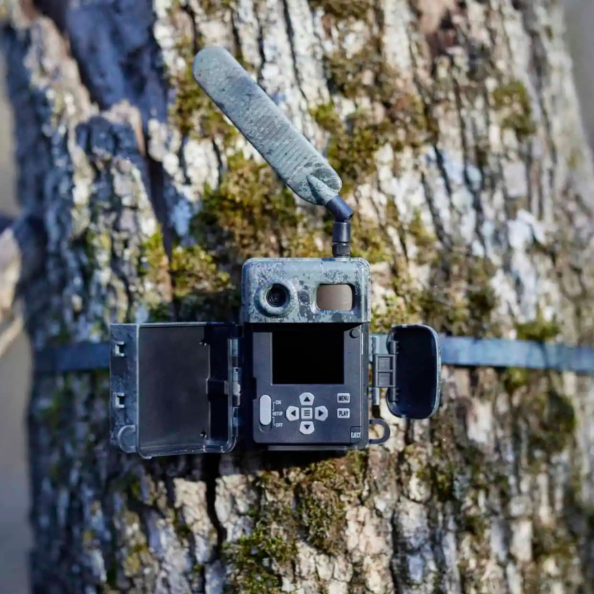 ZEISS Secacam 7 Wildkamera mit LTE, App & Nachtsicht, im Einsatz