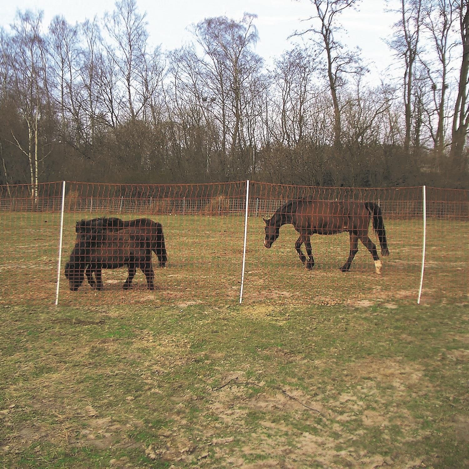 Euro-Mustang-Net Pasture Net close-meshed electrificable, double tip, orange 50 m x 145 cm, in use, in the paddock