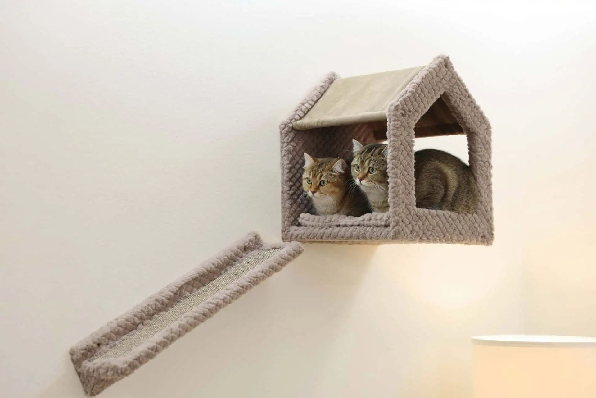 Kerbl Climbing Wall Monte Baldo for Cats, 6-Piece Set, in use