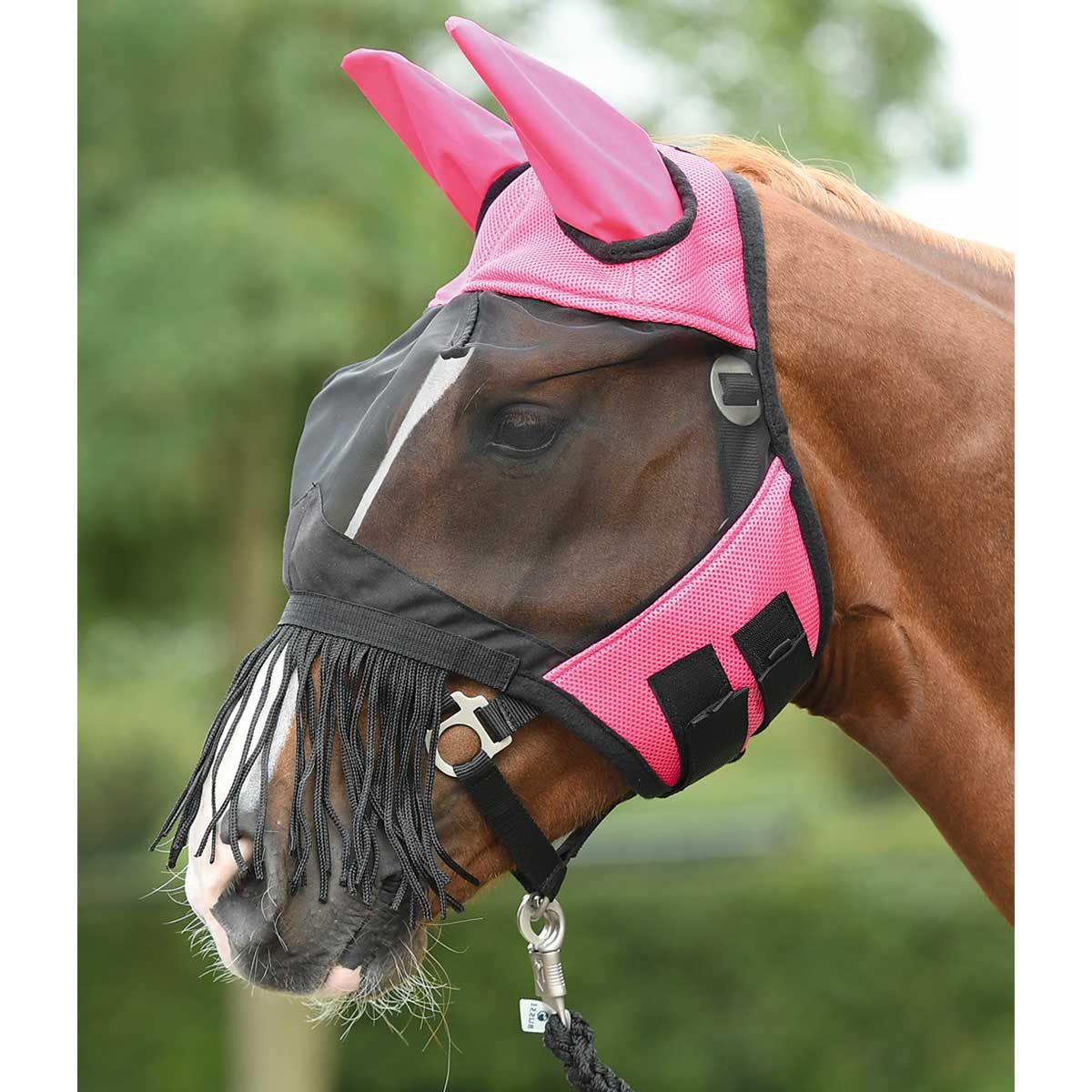 BUSSE Masque anti-mouches Fly Cover Franges, protection naseaux cheval, rose/noir Shetty