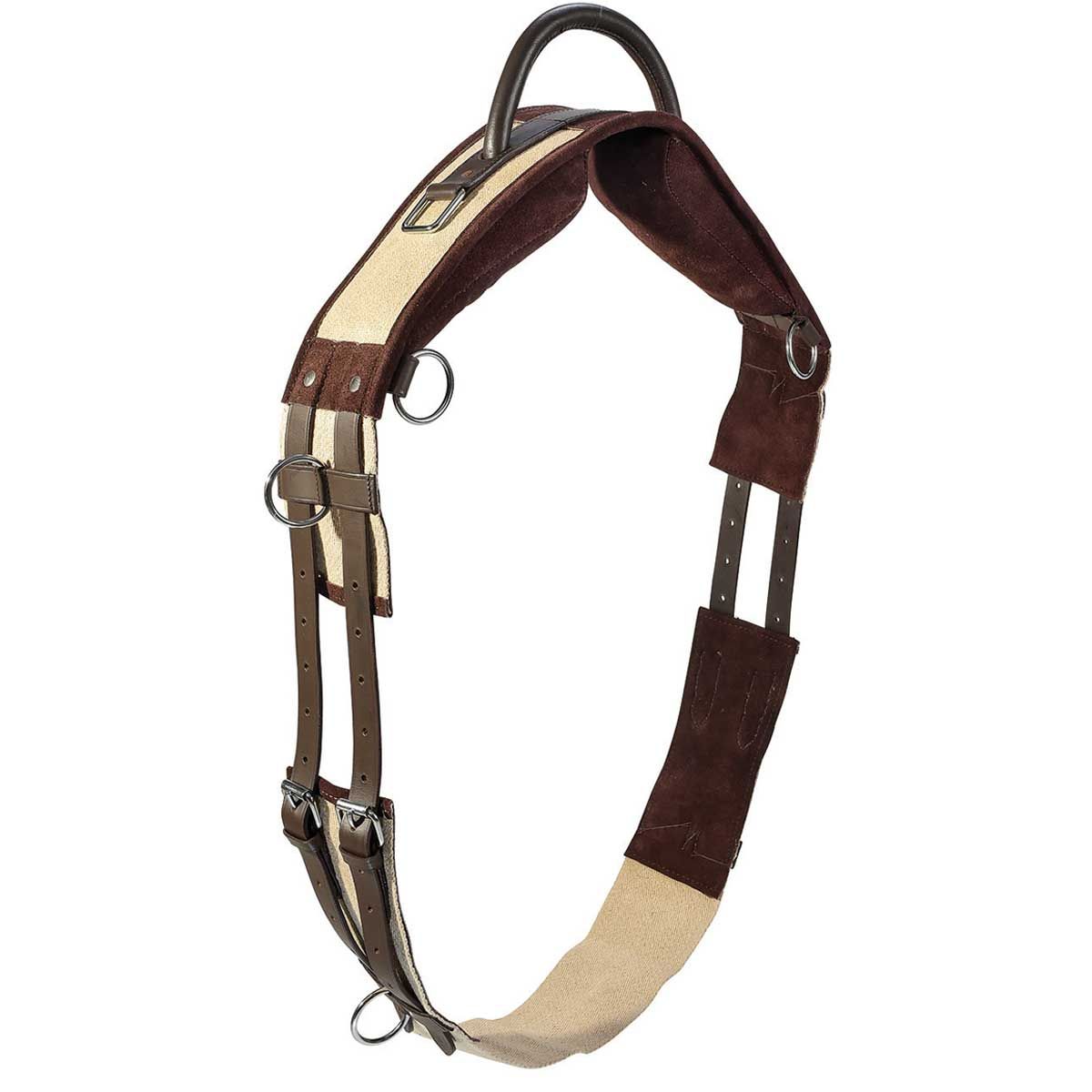 BUSSE Ceinture de longe avec poignée, rembourrage garrot, Pony