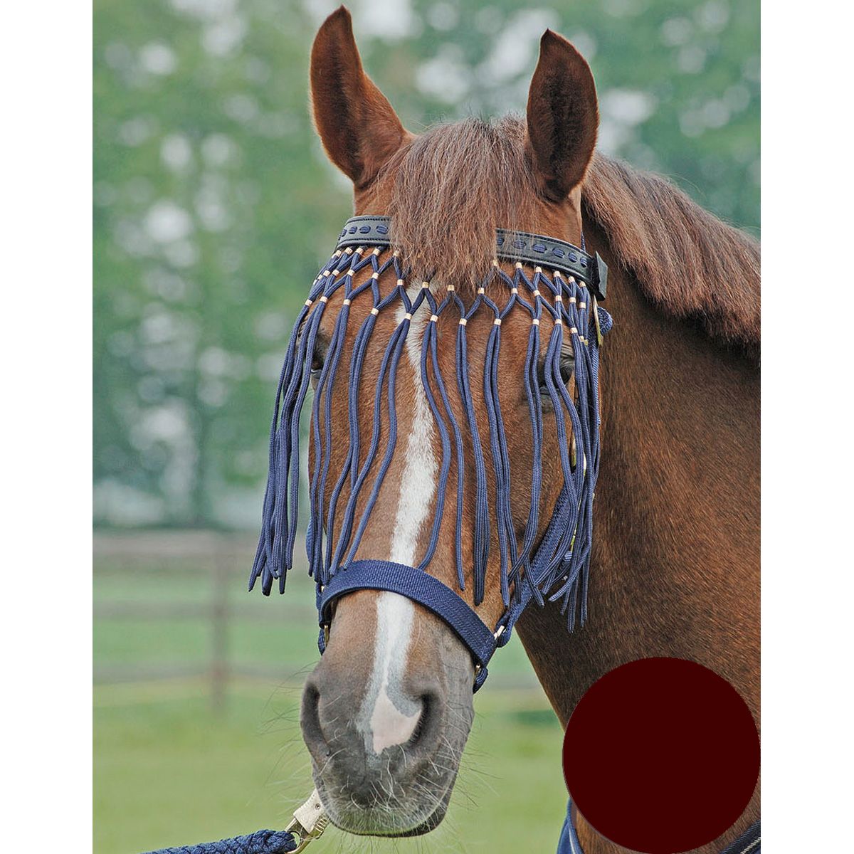 BUSSE Frontal à franges anti-mouches EXCLUSIF, cuir et franges nylon, bordeaux Warmblut
