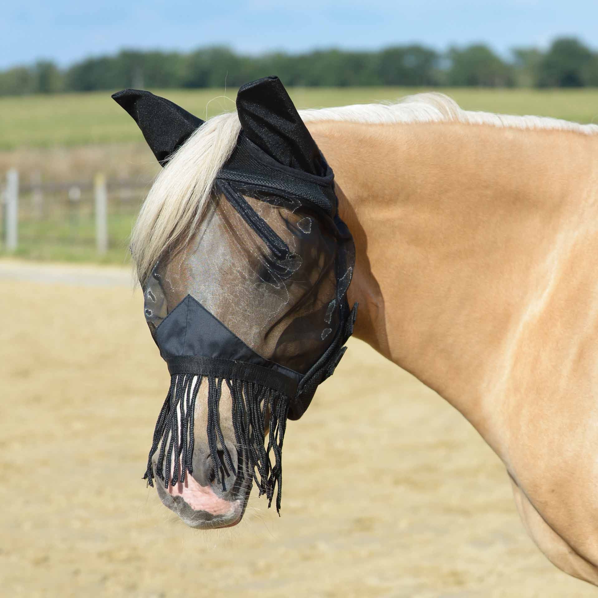 BUSSE Fly Mask FLY COVER FRANSEN GAP II, All-Round Protection, in use, in the paddock