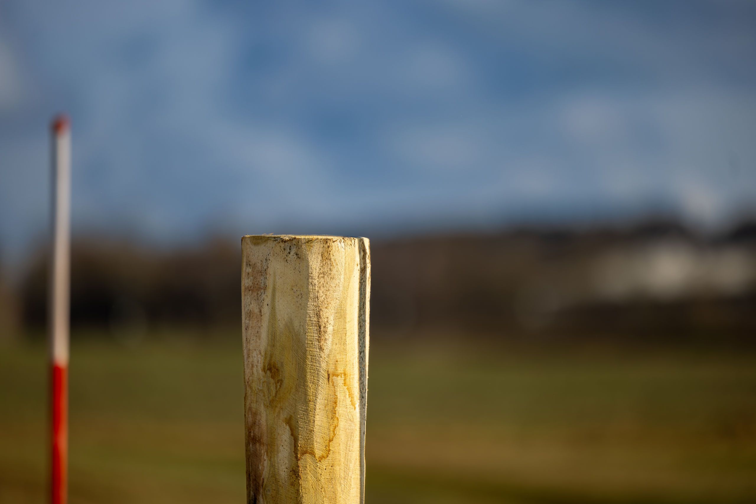zaunpfosten, Holzpfosten, Holzstruktur, im freien, feldlandschaft