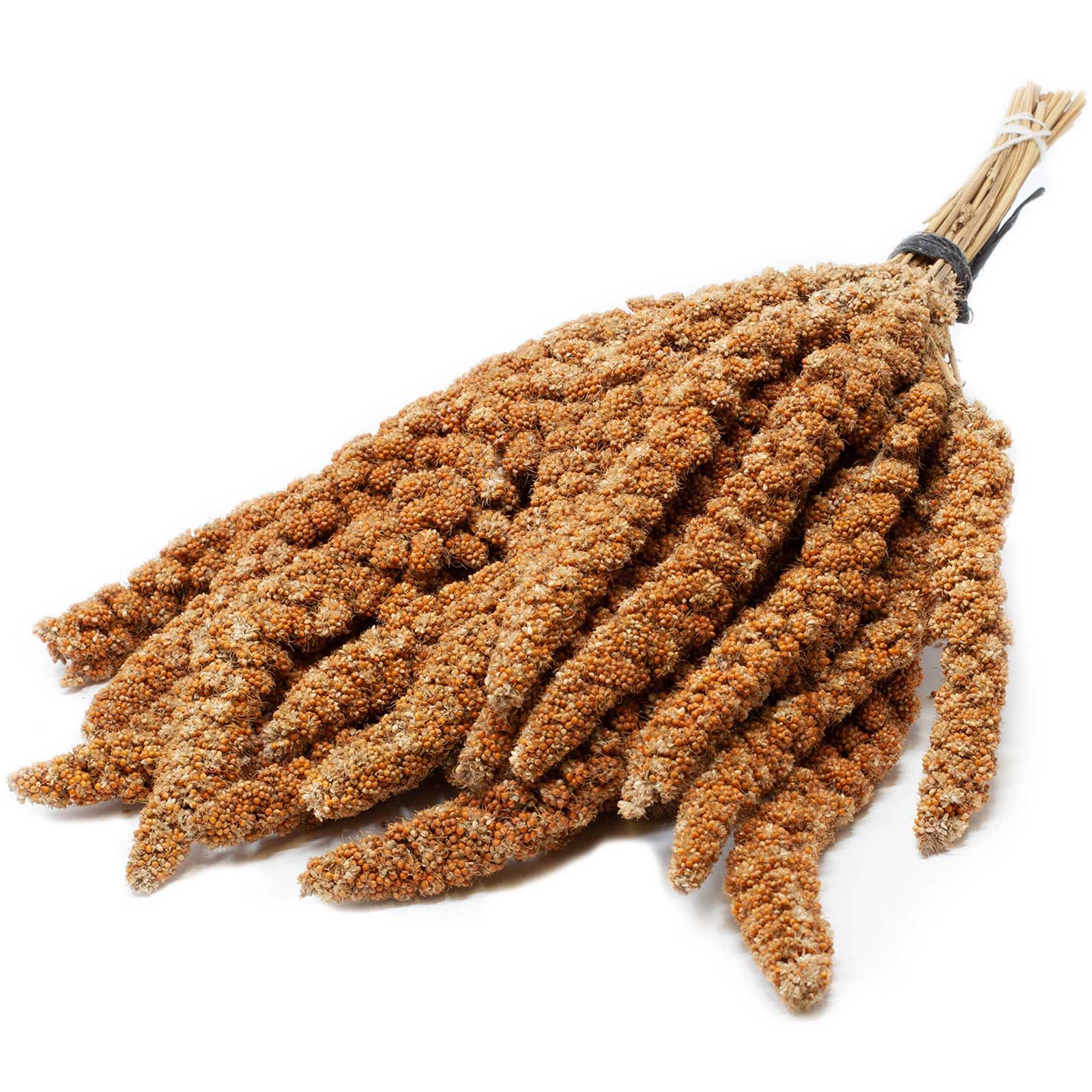 Leimüller Miglio rosso cinese a ramoscelli 1 kg