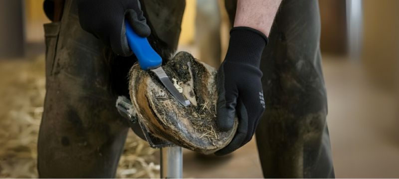 Couteau à sabots et à griffes Aesculap