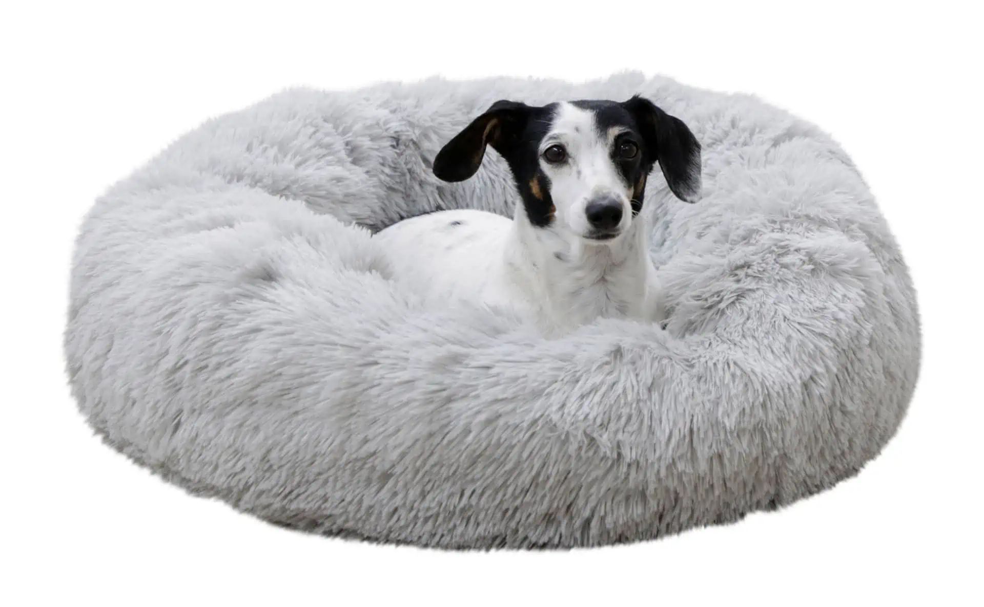 Kerbl Corbeille Fluffy pour chien et chat, gris clair, en utilisation